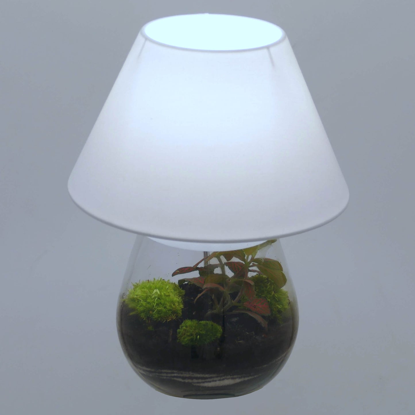 Pack 2 lampes nues de chevet