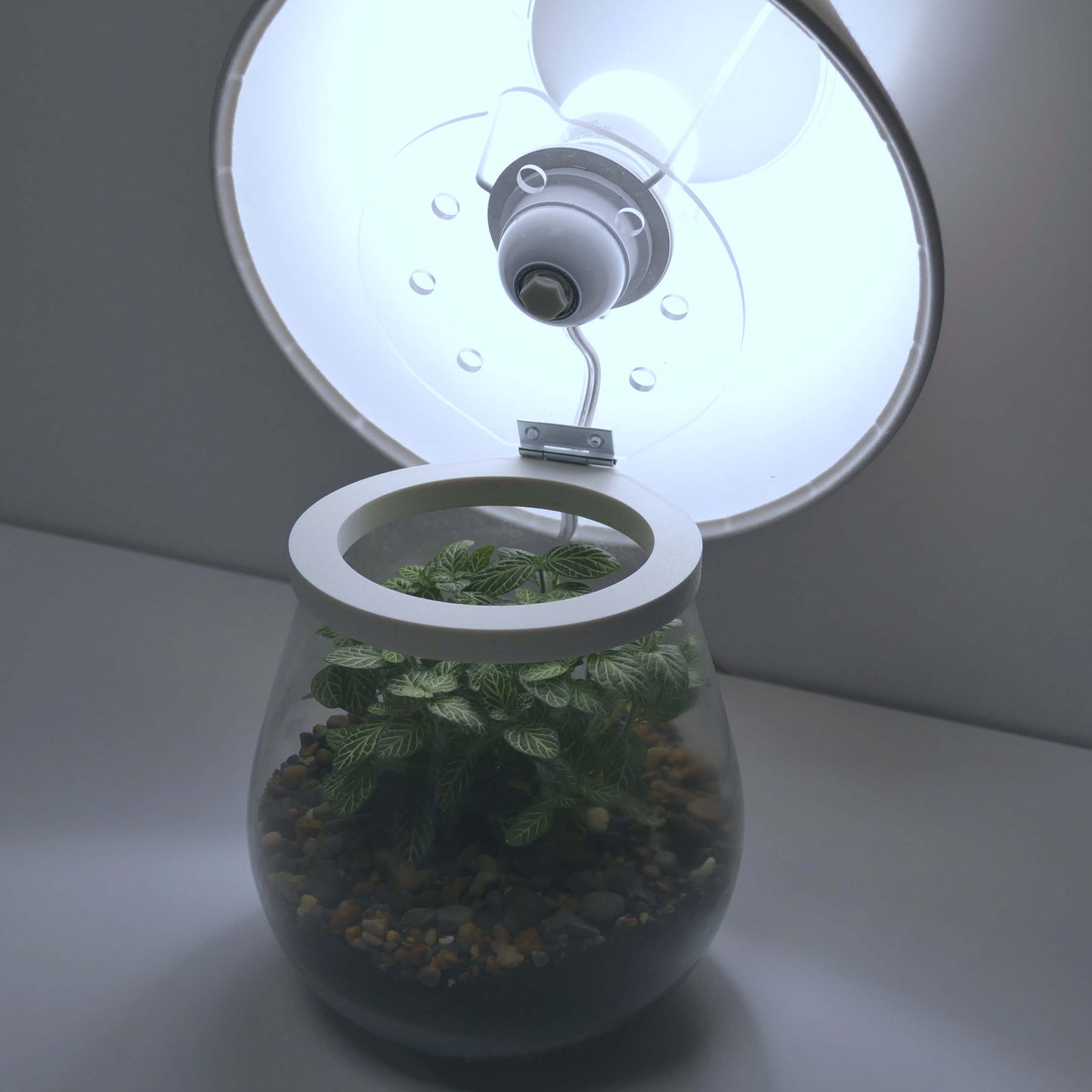 Pack 2 lampes nues de chevet