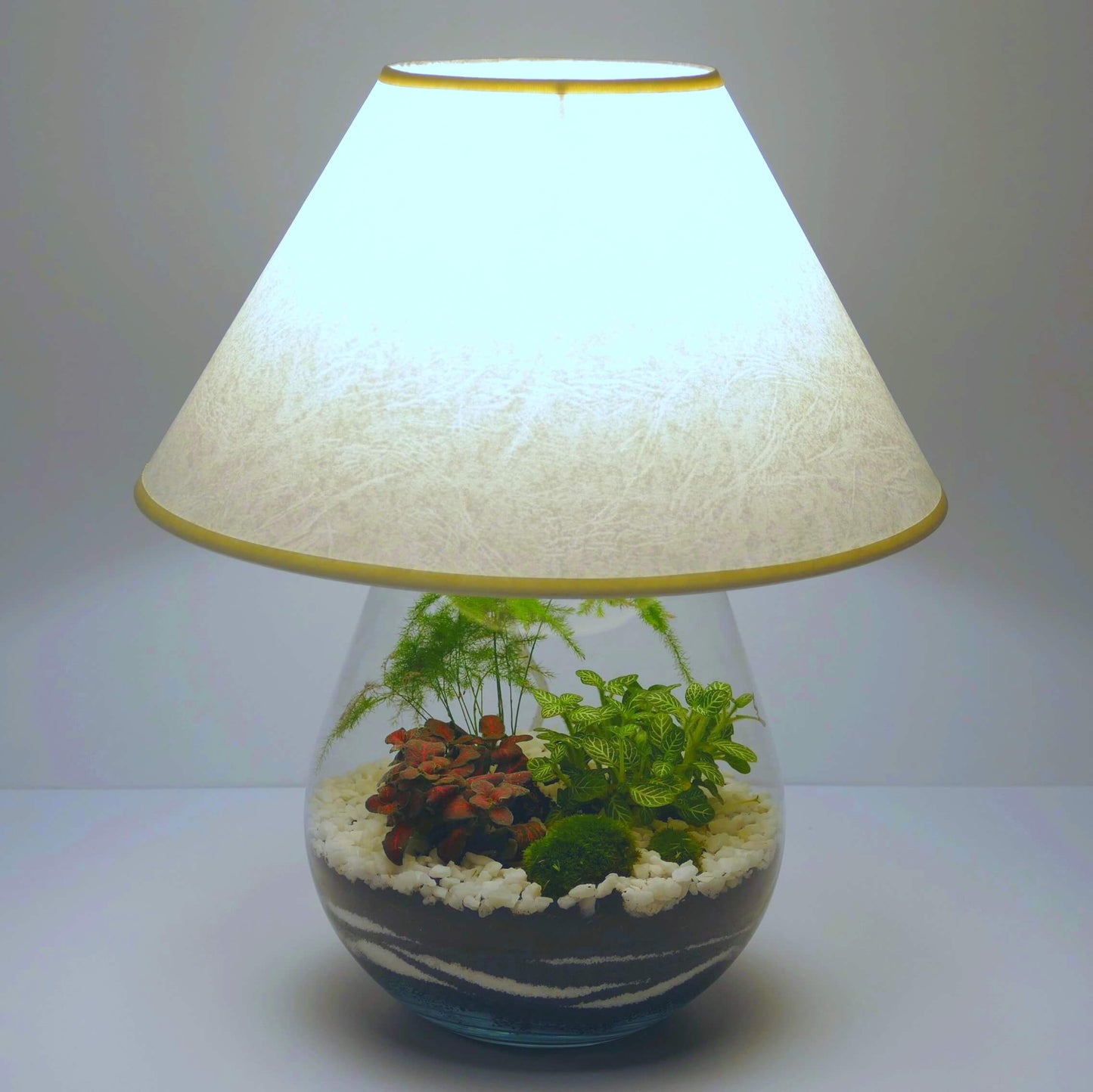 Pack 2 lampes nues de chevet L2