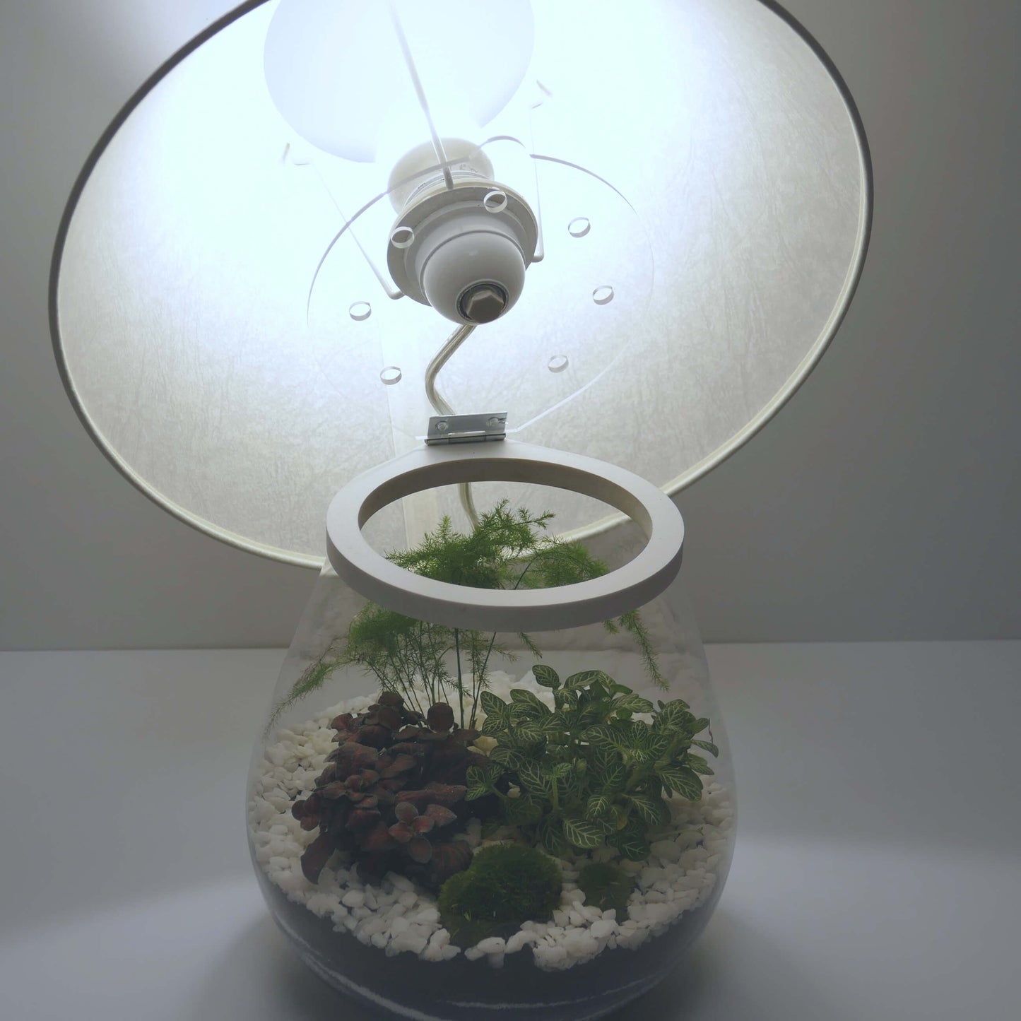 Pack 2 lampes nues de chevet L1