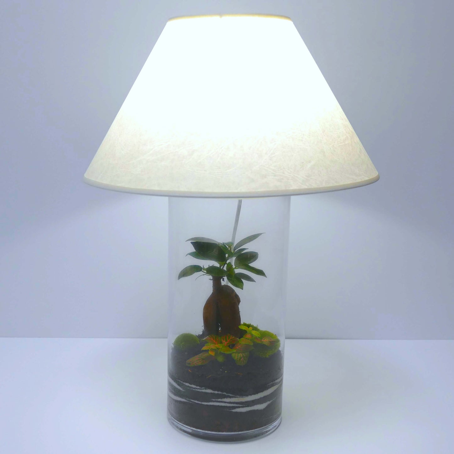 Pack 2 lampes nues de bureau