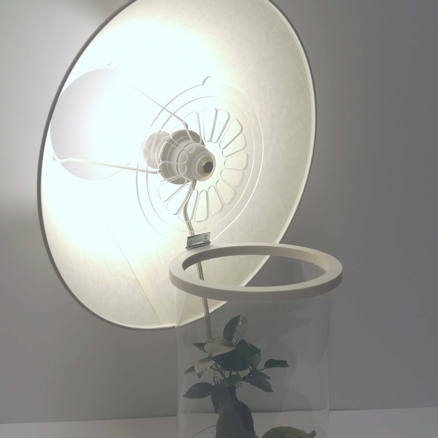 Pack 2 lampes nues de bureau