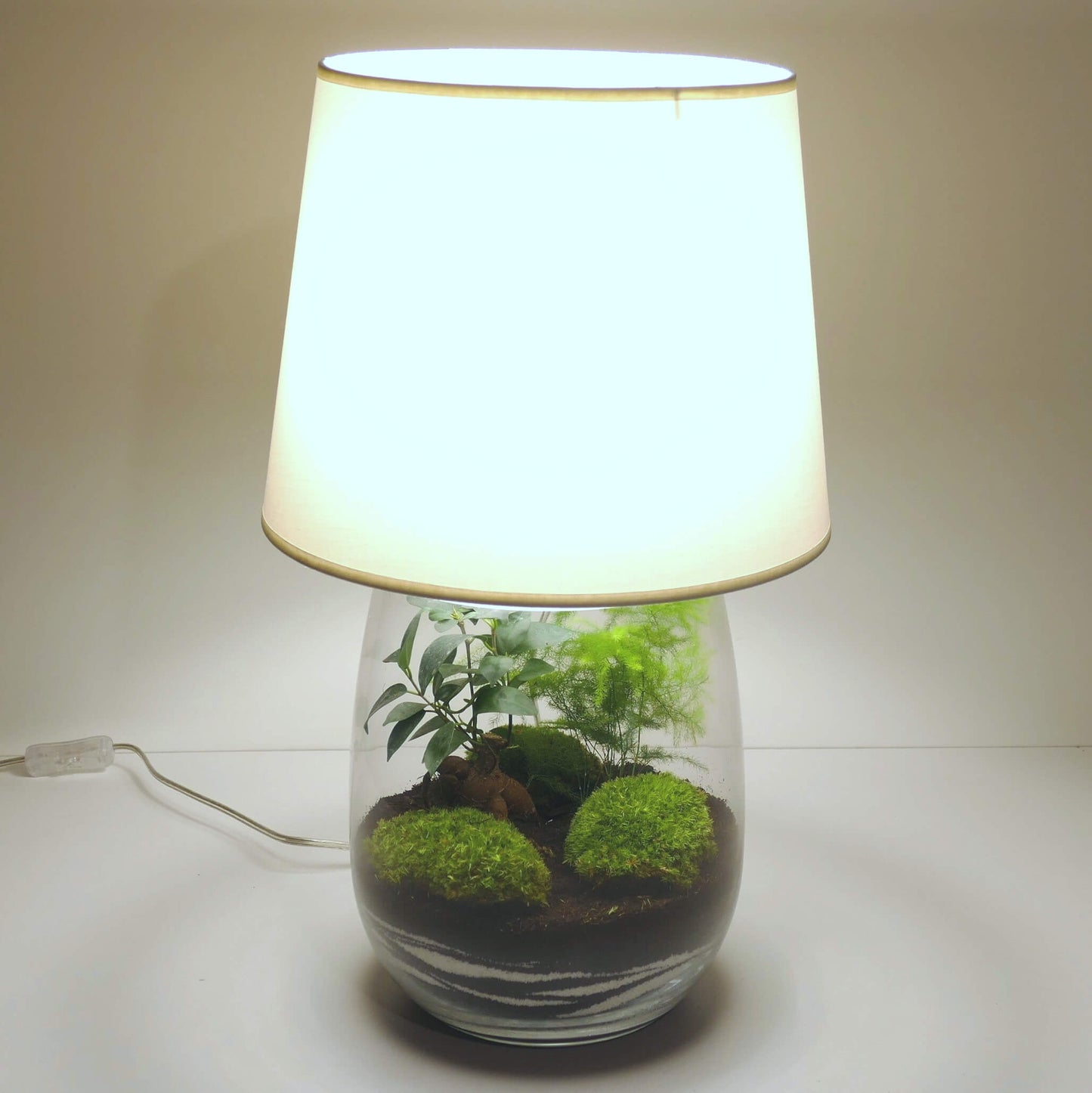 Pack 2 lampes nues vase allongé L