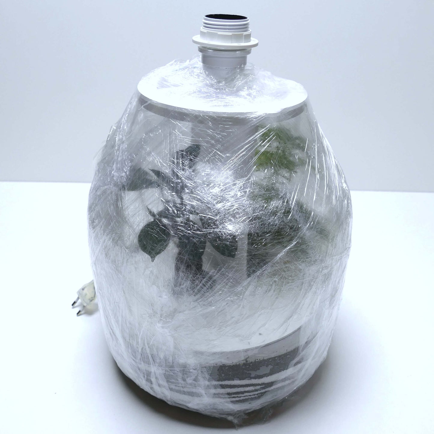 Pack 2 lampes terrariums vase bonbonne XL