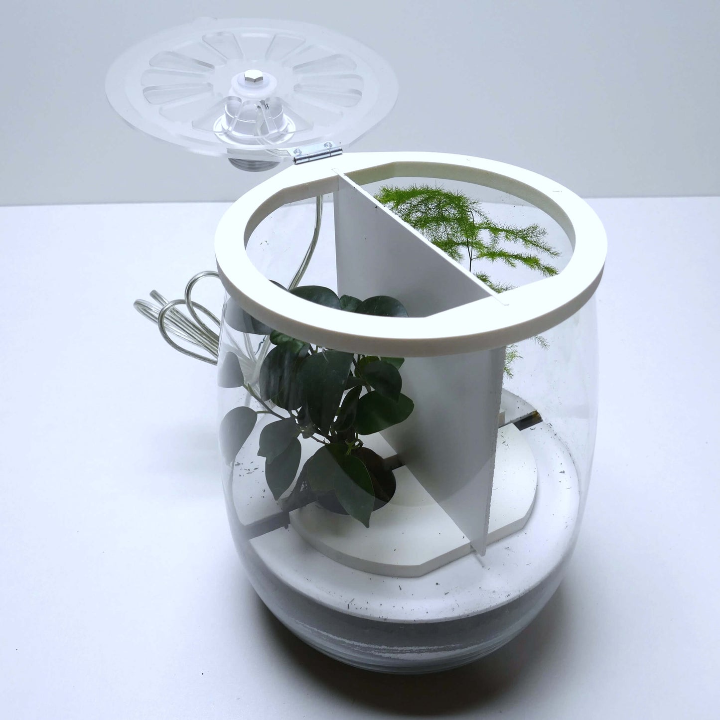 Pack 2 lampes terrariums vase allongé L