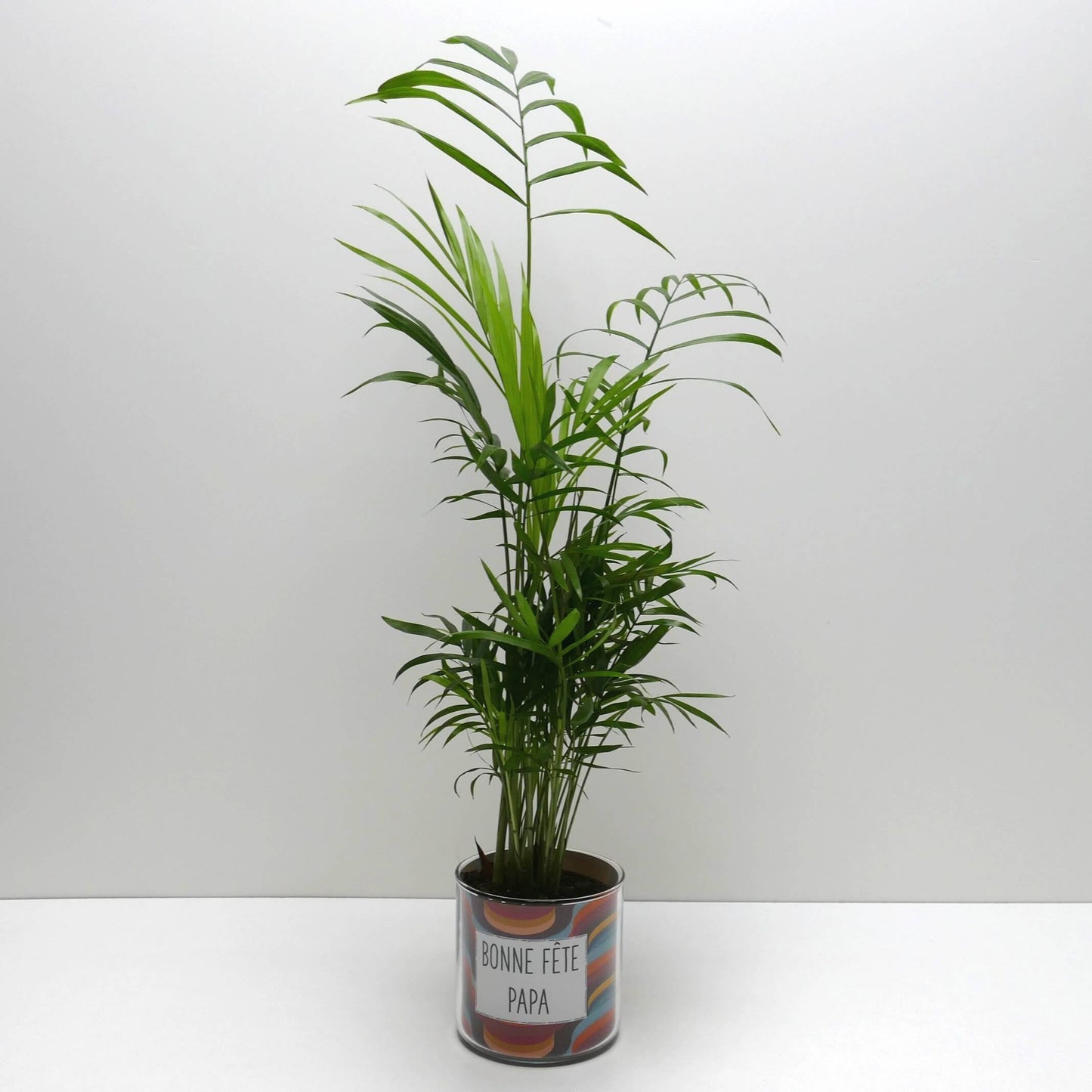 Pot Bonne fête papa et sa plante