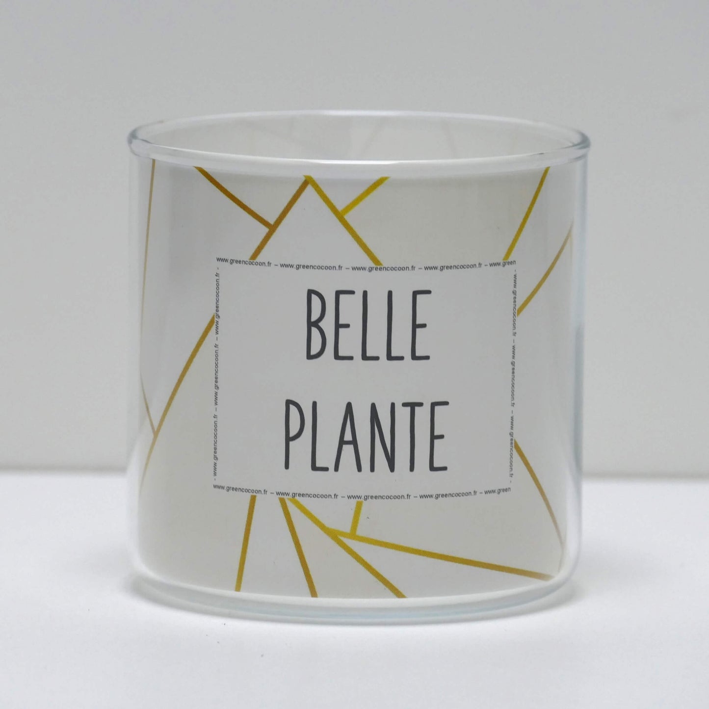 Pot Belle plante et sa plante