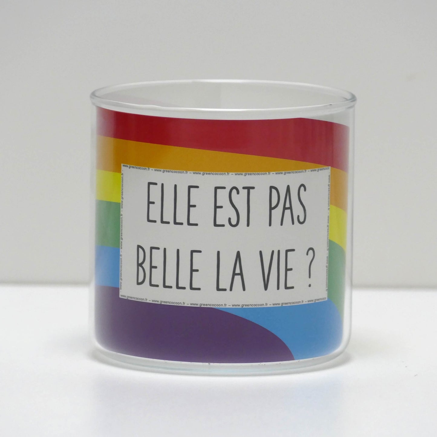 Pot Elle est pas belle la vie et sa plante