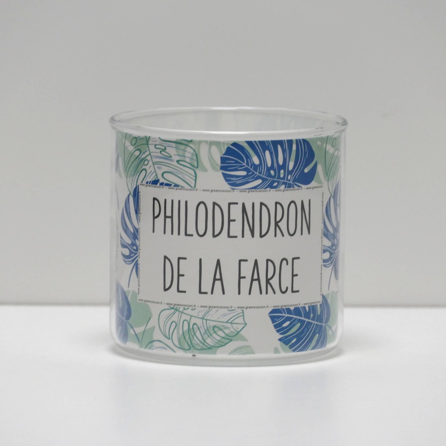 Pot Philodendron de la farce et sa plante
