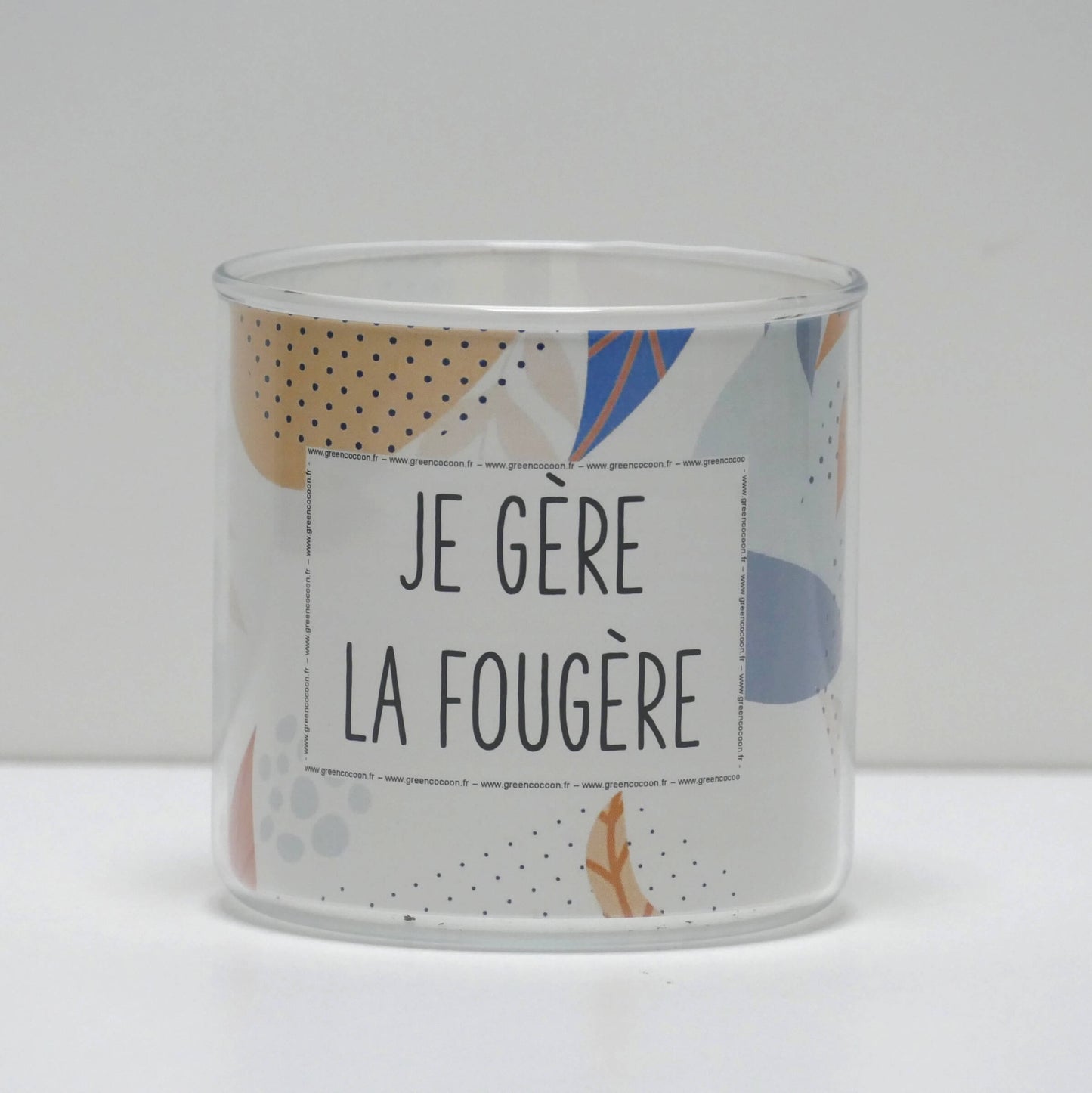 Pot Je gère la fougère et sa plante