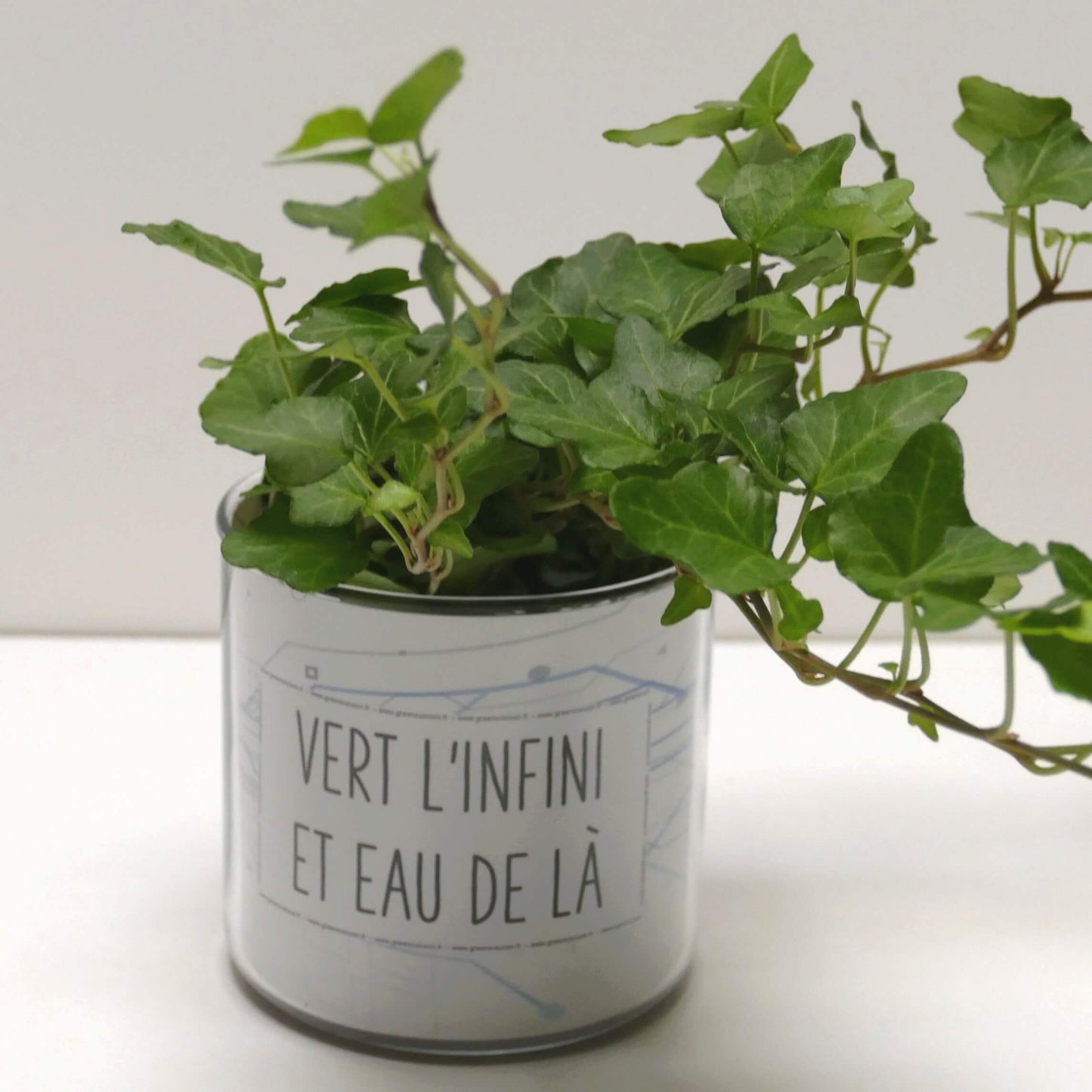 Pot Vert l'infini et eau de là et sa plante
