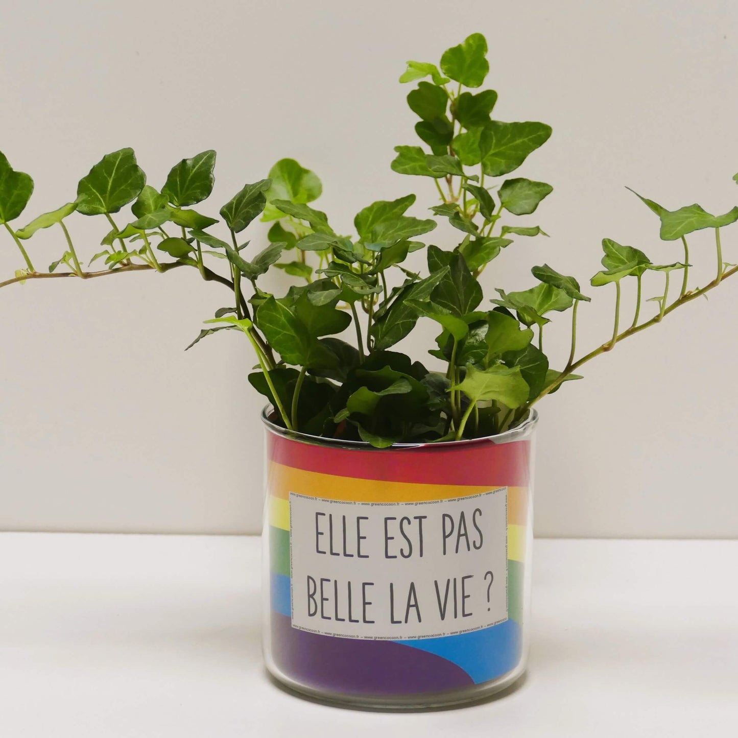 Pot Elle est pas belle la vie et sa plante