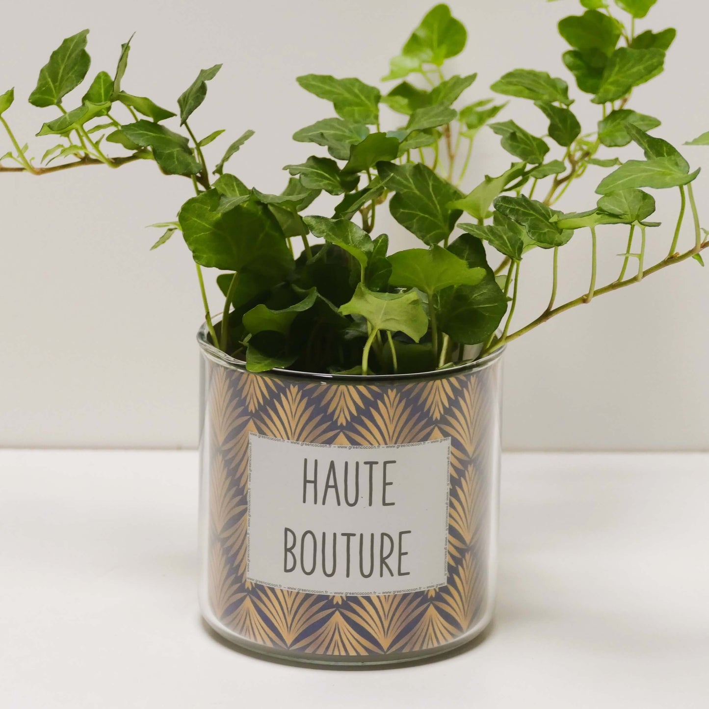 Pot Haute bouture et sa plante