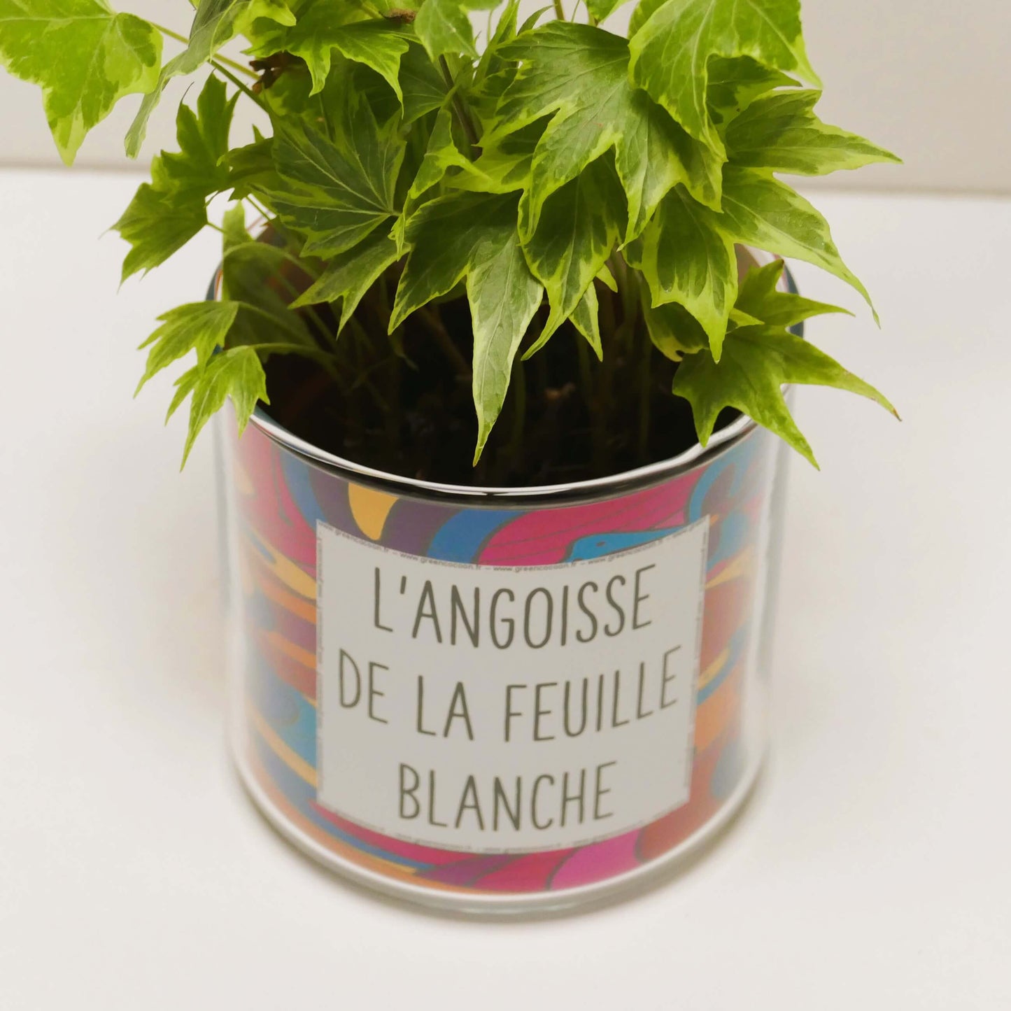 Pot L'angoisse de la feuille blanche et sa plante