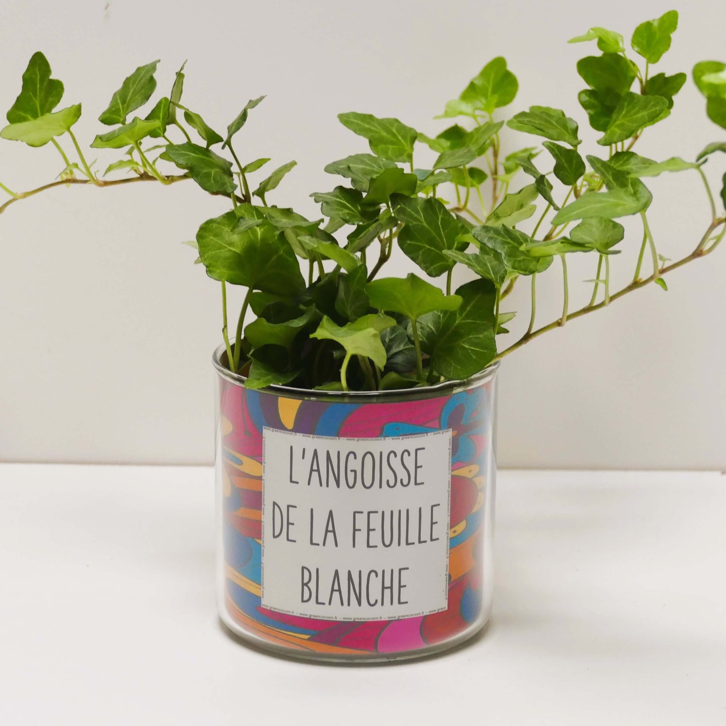 Pot L'angoisse de la feuille blanche et sa plante