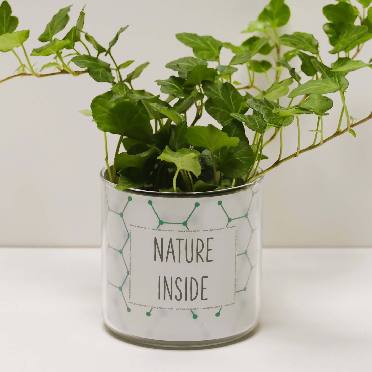 Pot Nature inside et sa plante