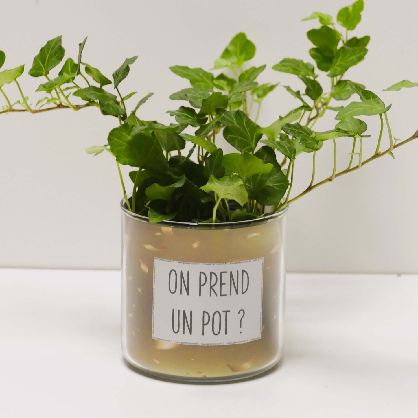 Pot On prend un pot et sa plante