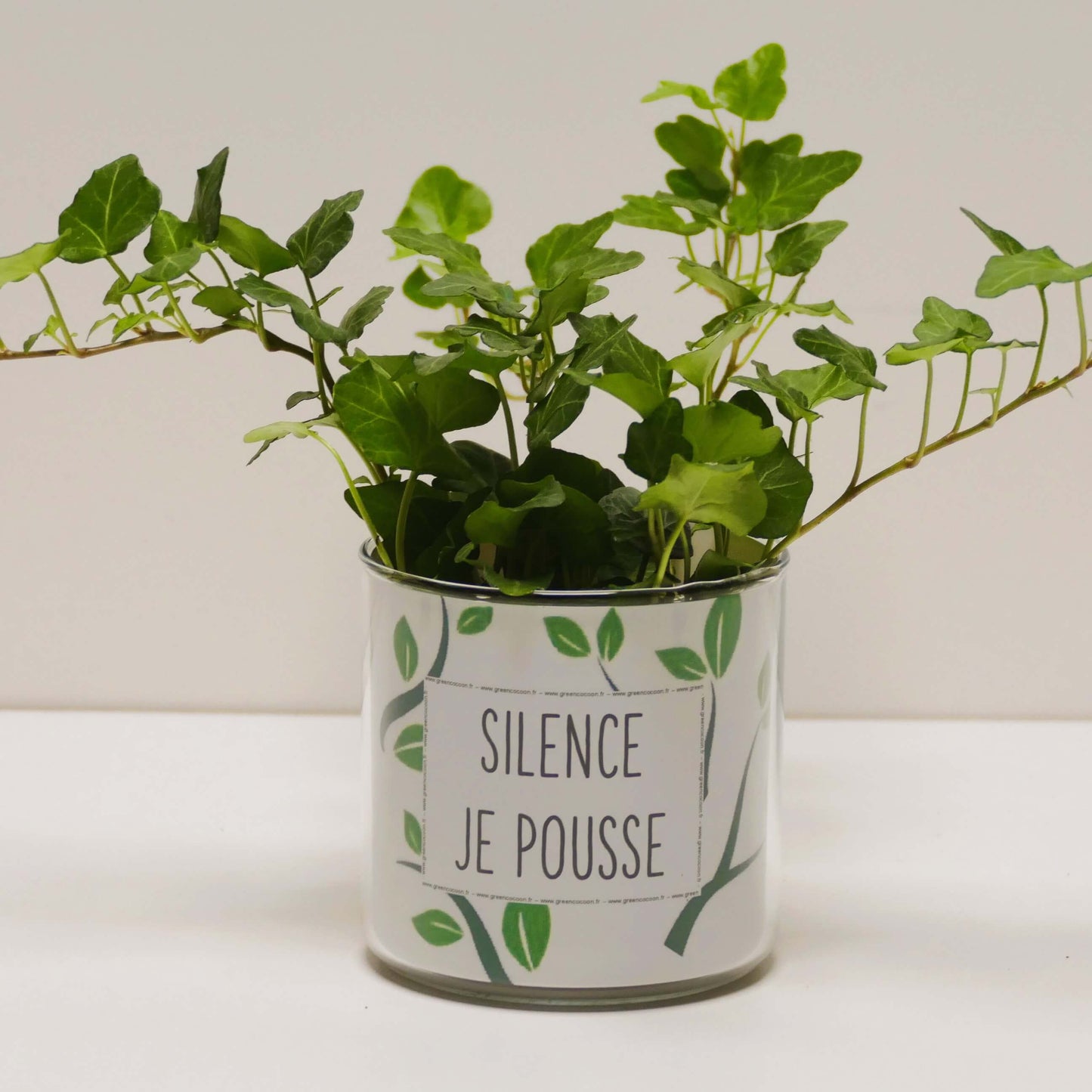Pot Silence je pousse et sa plante