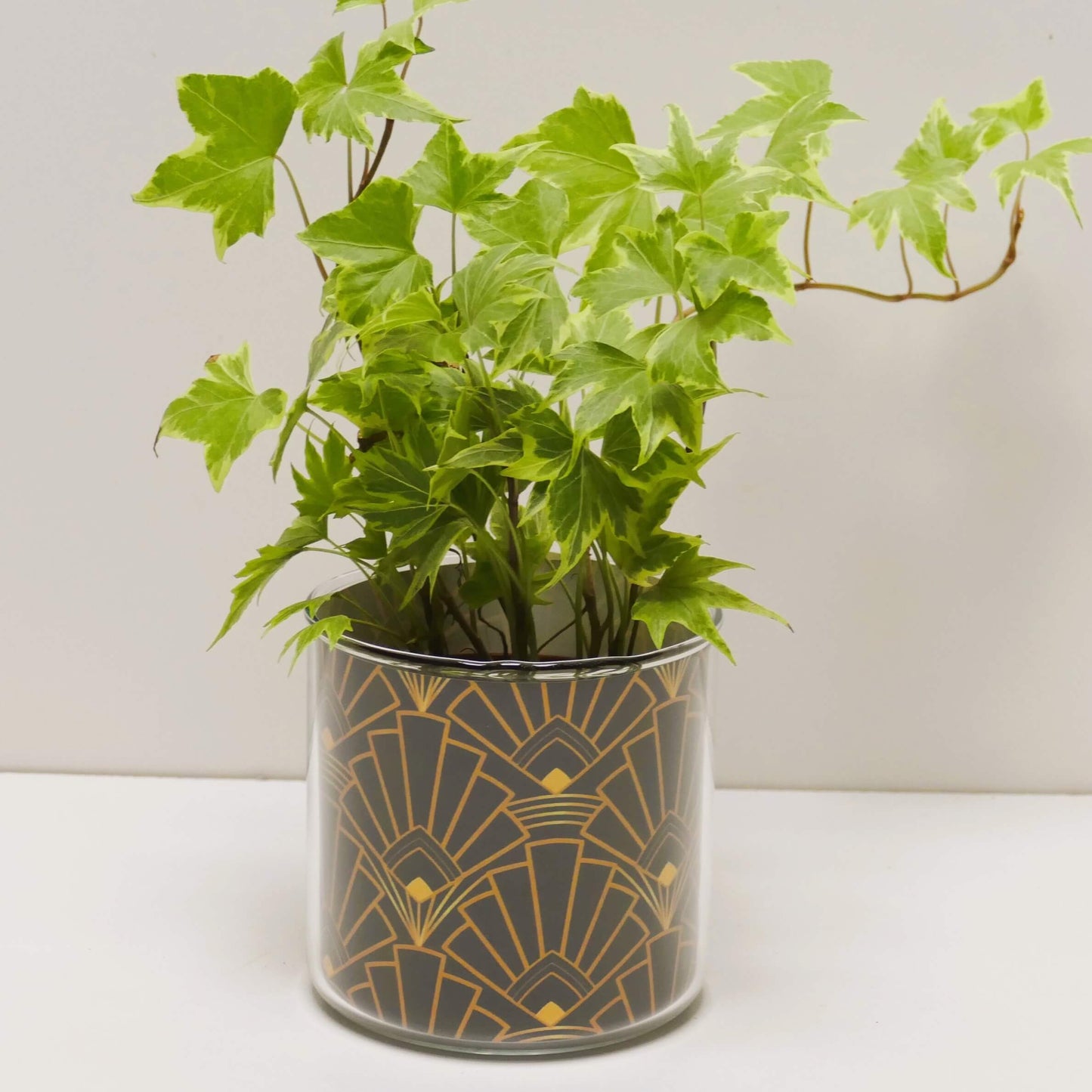 Pot art déco noir et doré et sa plante