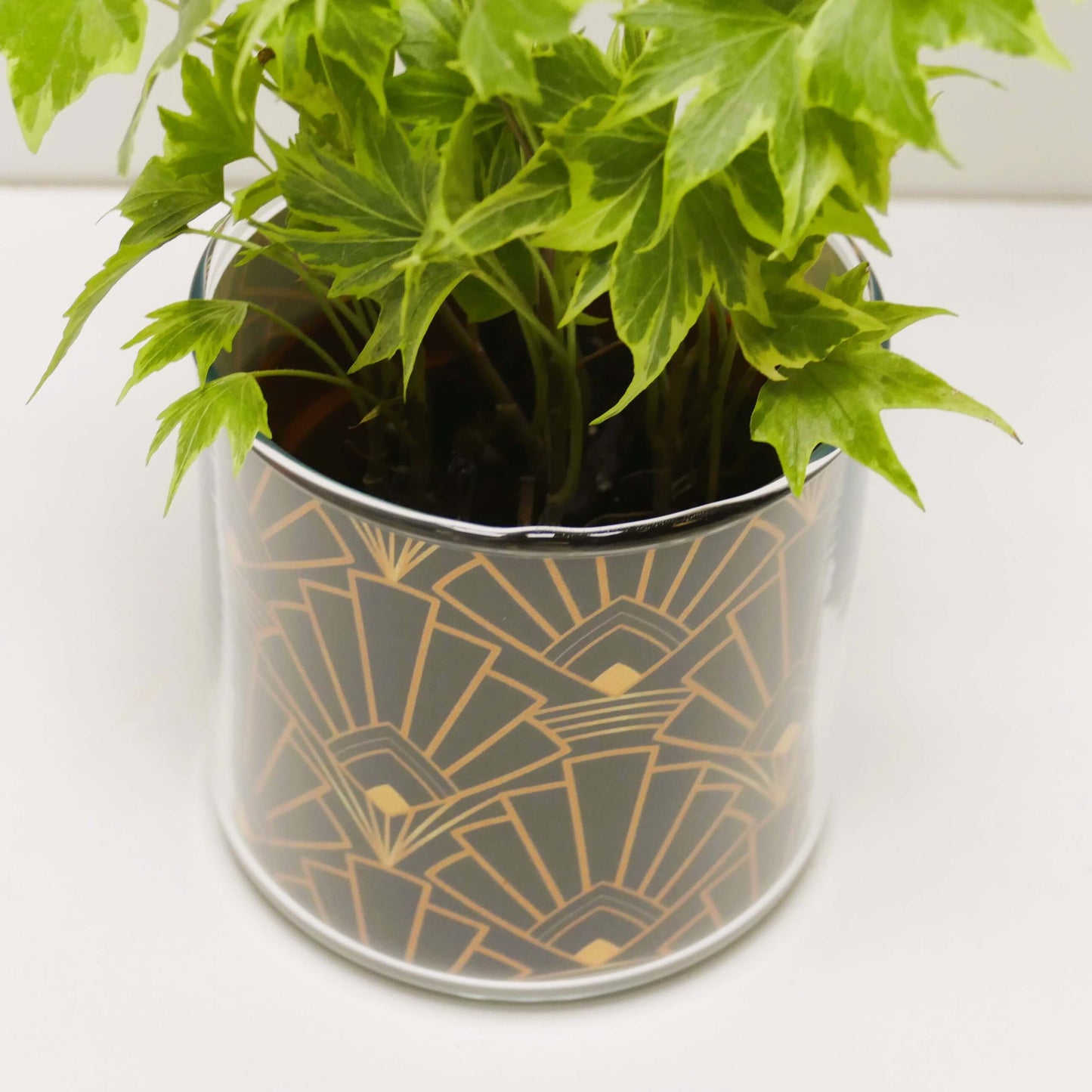 Pot art déco noir et doré et sa plante