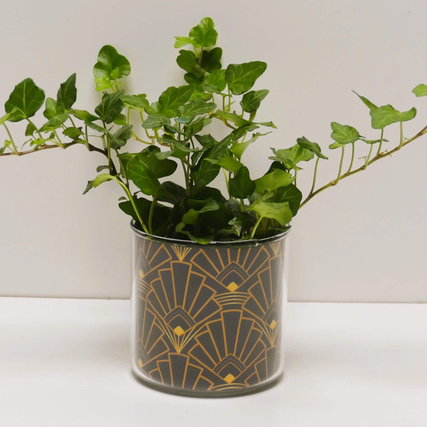 Pot art déco noir et doré et sa plante