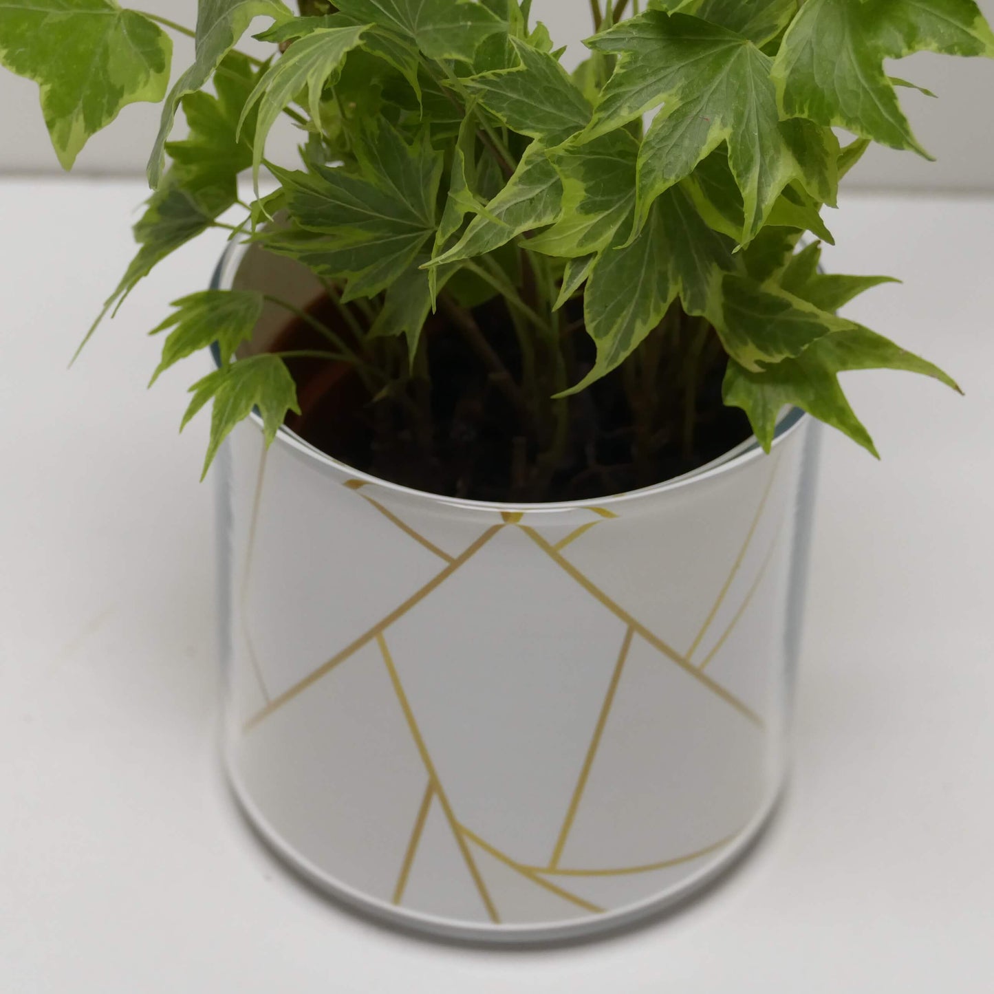 Pot graphismes blancs et dorés et sa plante