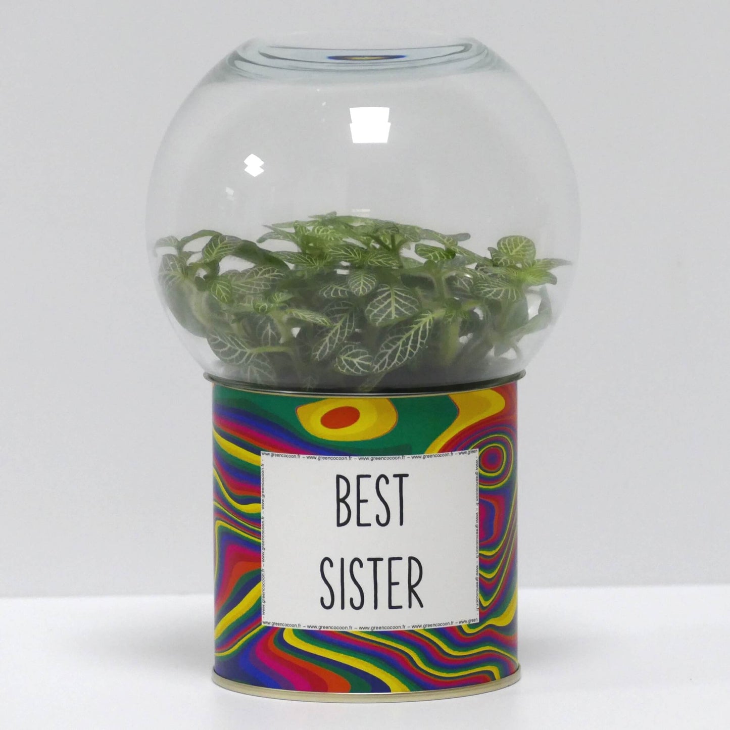 Terrarium Best sister