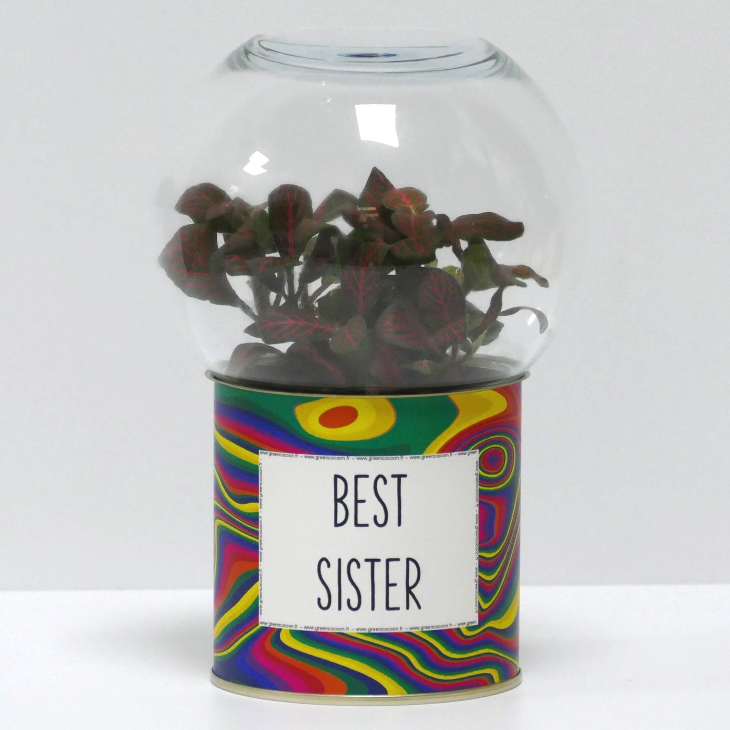 Terrarium Best sister