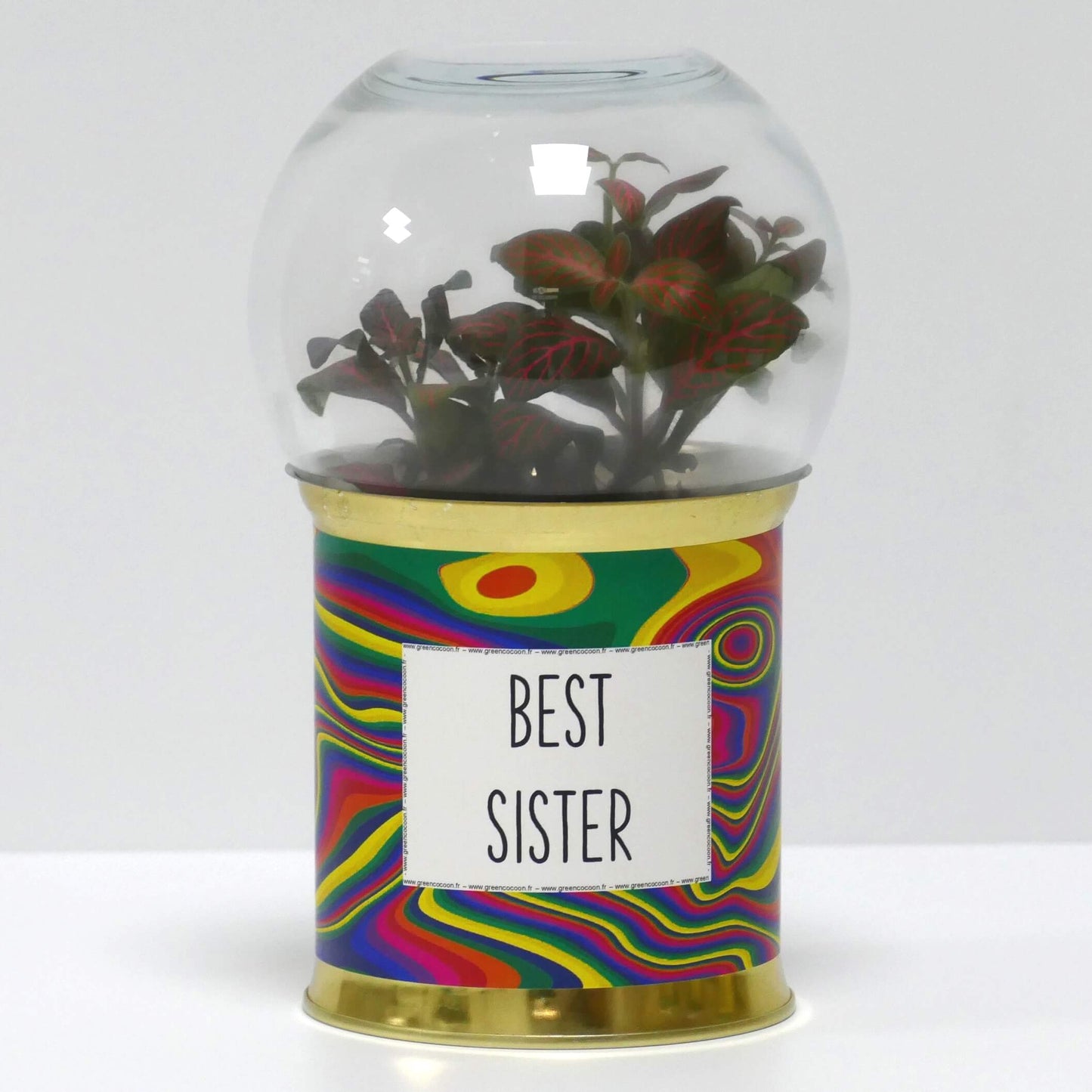 Terrarium Best sister