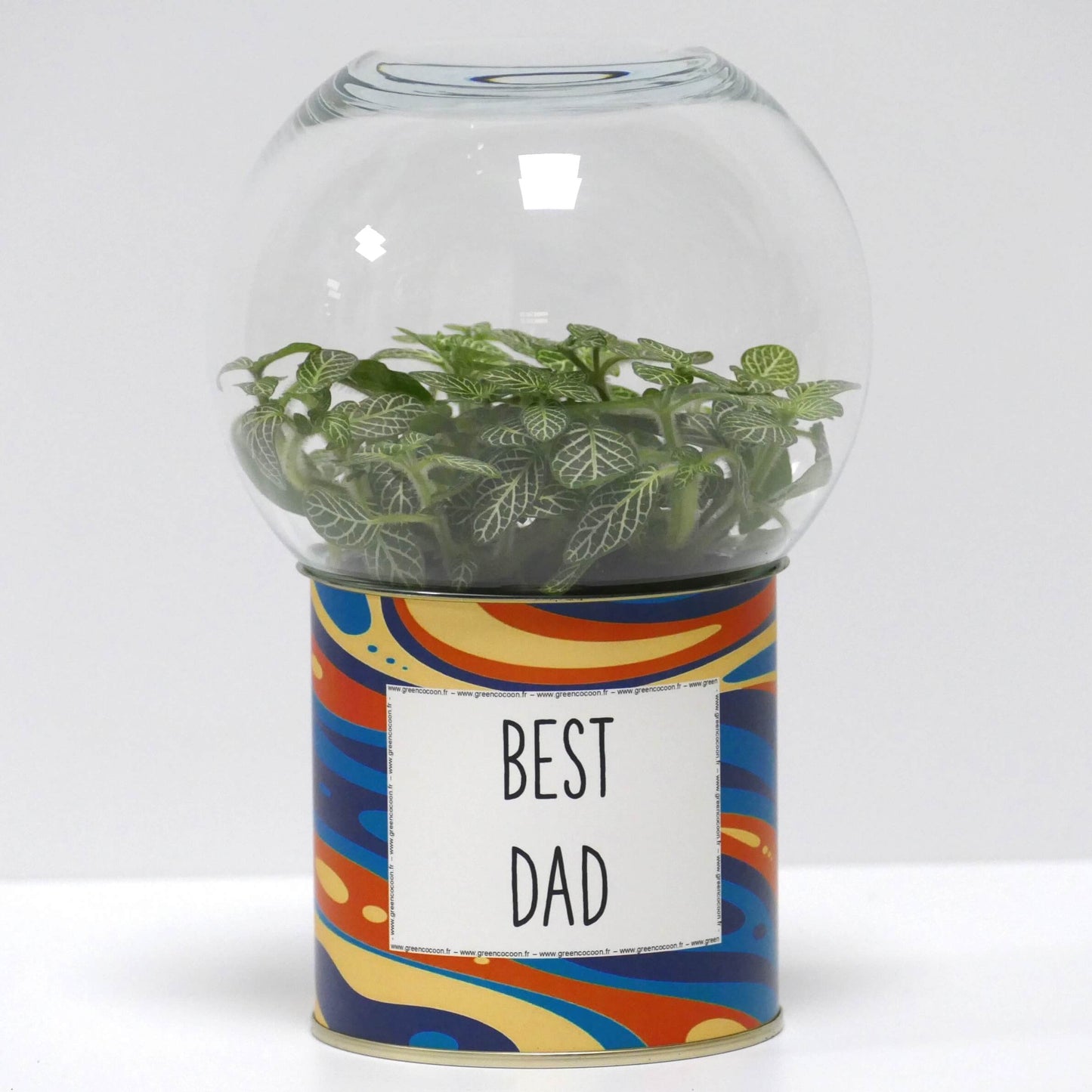 Terrarium Best dad