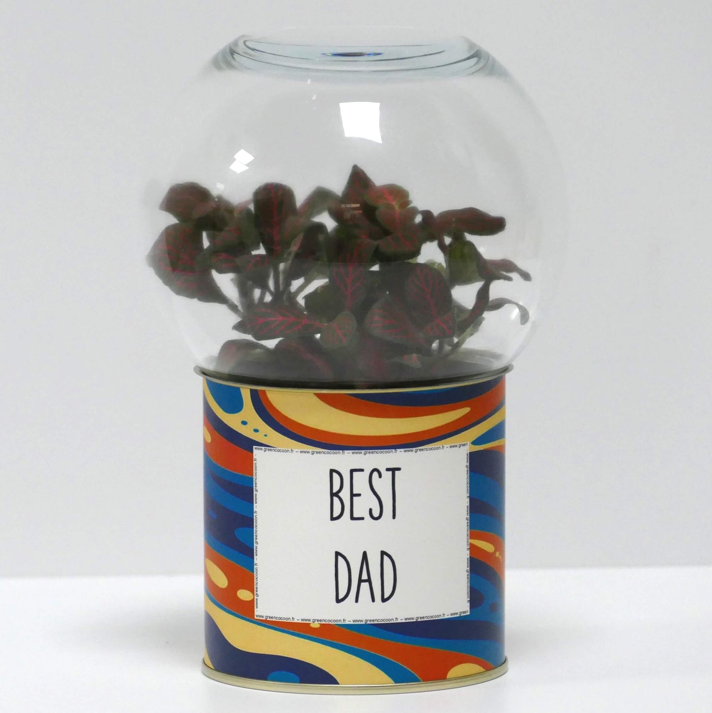 Terrarium Best dad