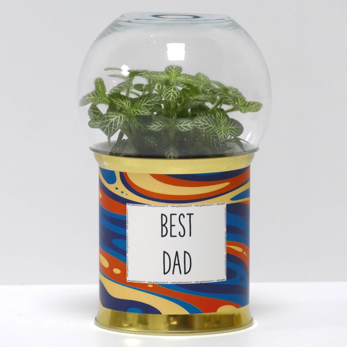 Terrarium Best dad