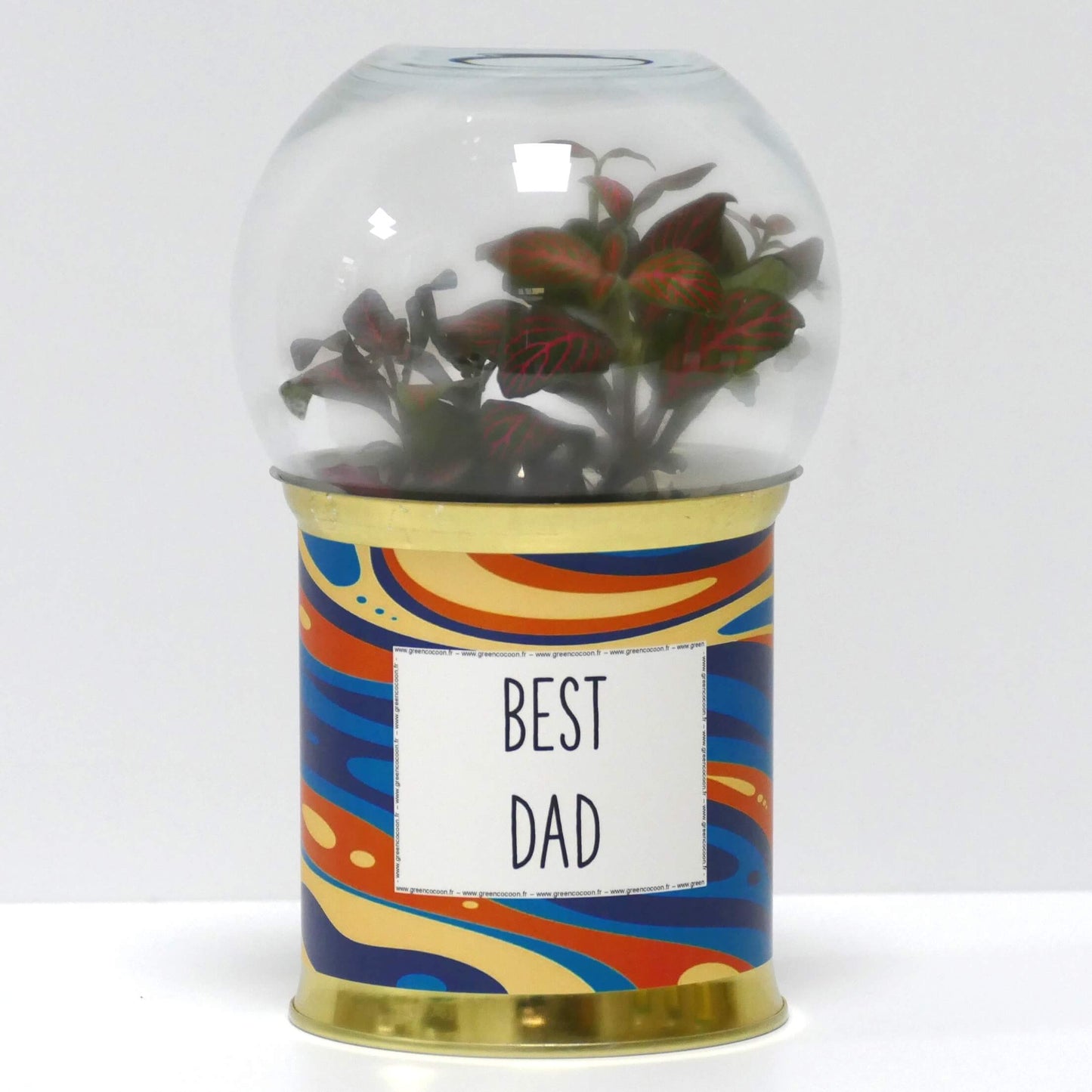 Terrarium Best dad
