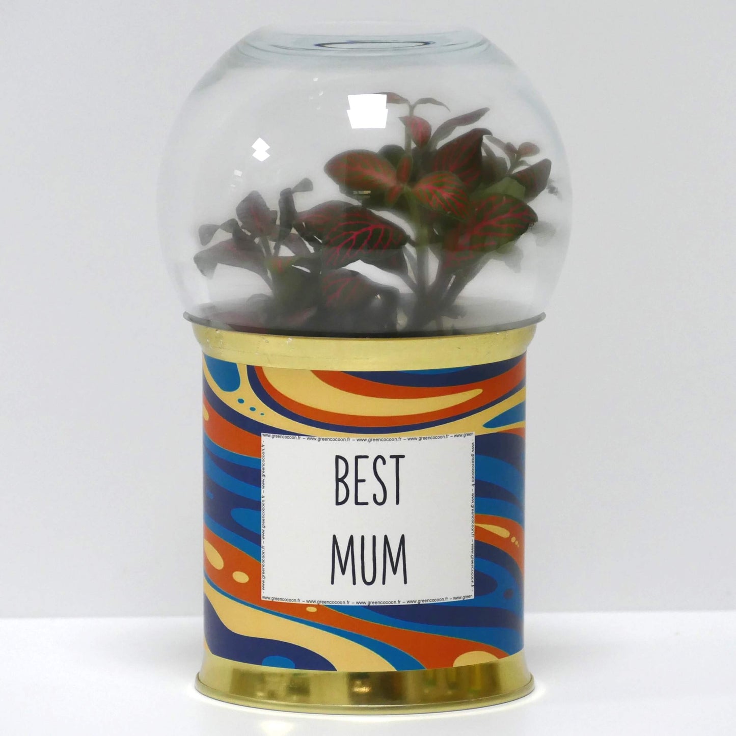Terrarium Best mum