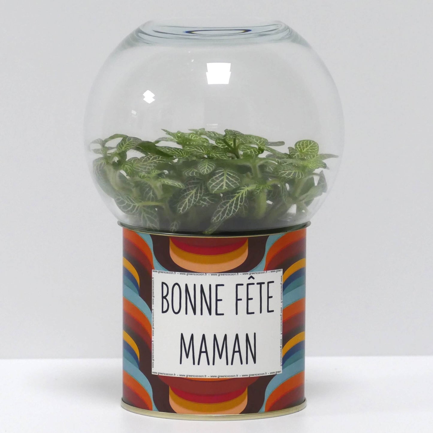 Terrarium Bonne fête maman