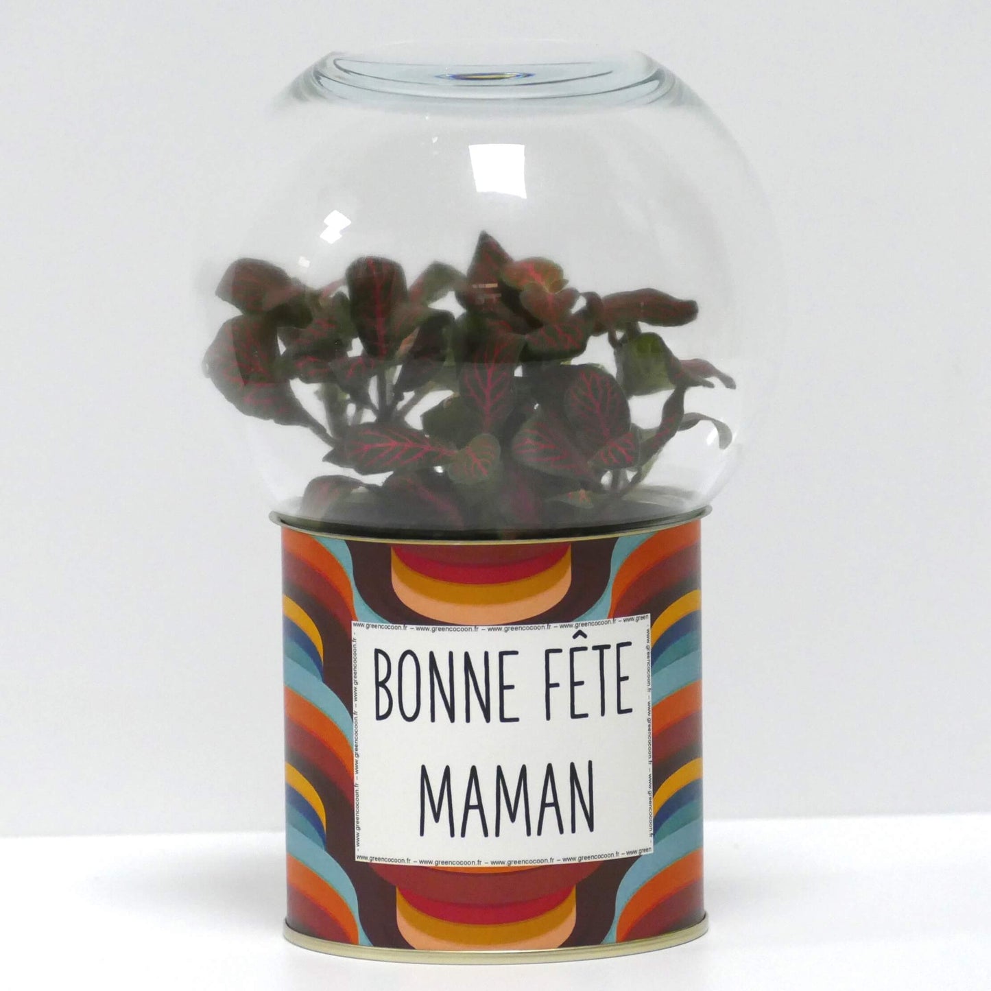 Terrarium Bonne fête maman
