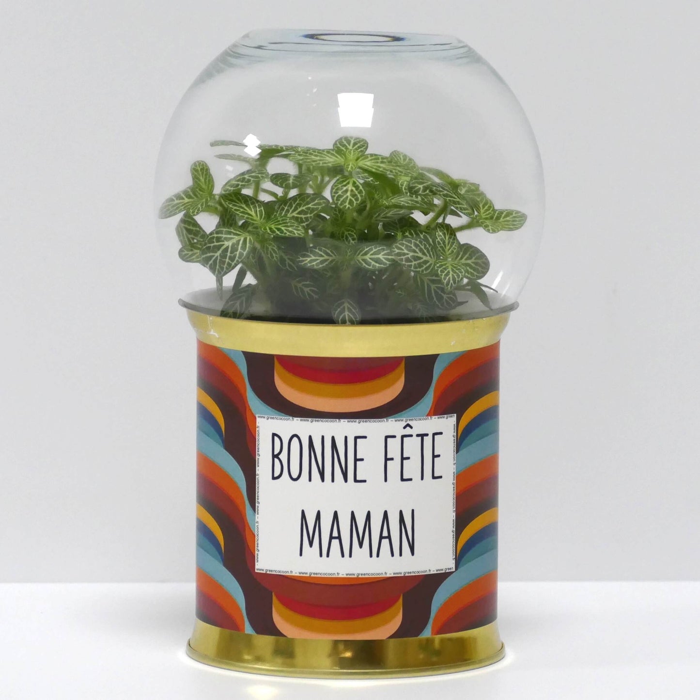 Terrarium Bonne fête maman