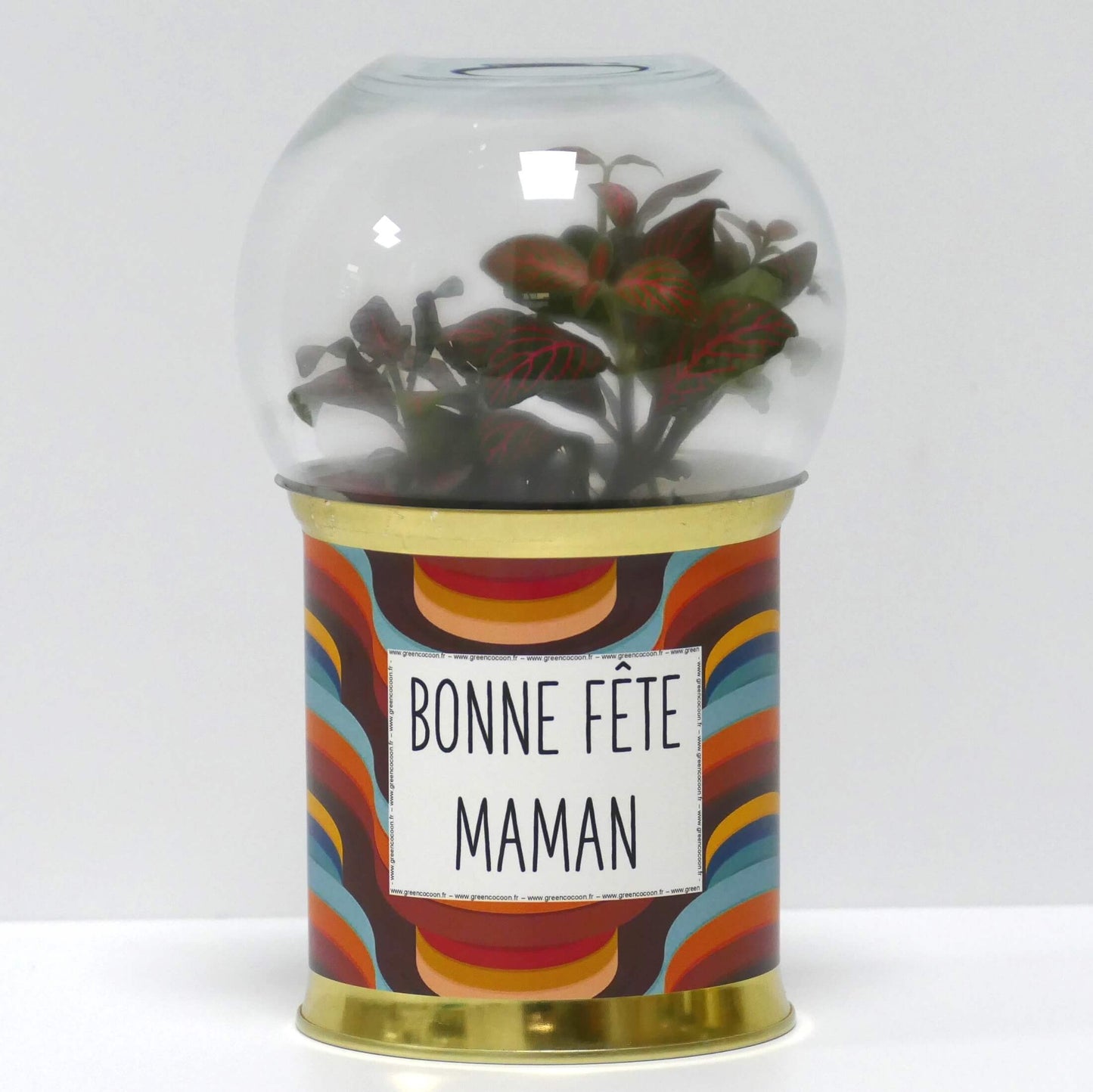 Terrarium Bonne fête maman