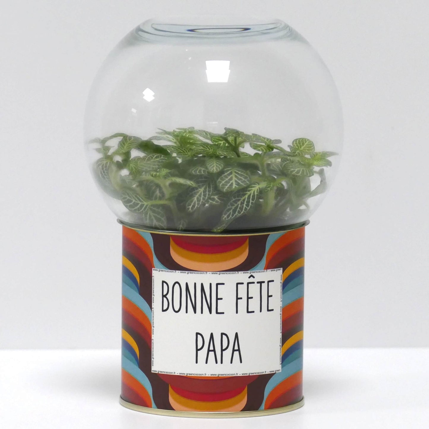 Terrarium Bonne fête papa
