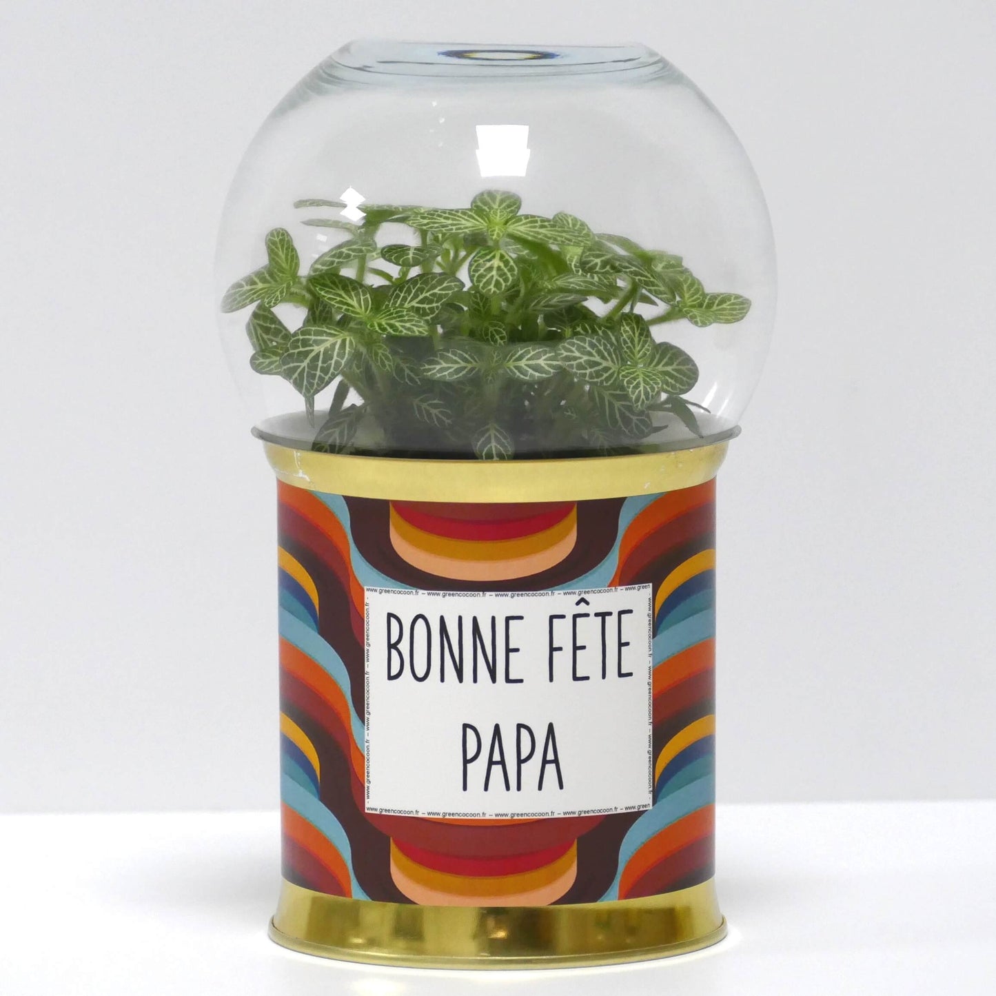 Terrarium Bonne fête papa