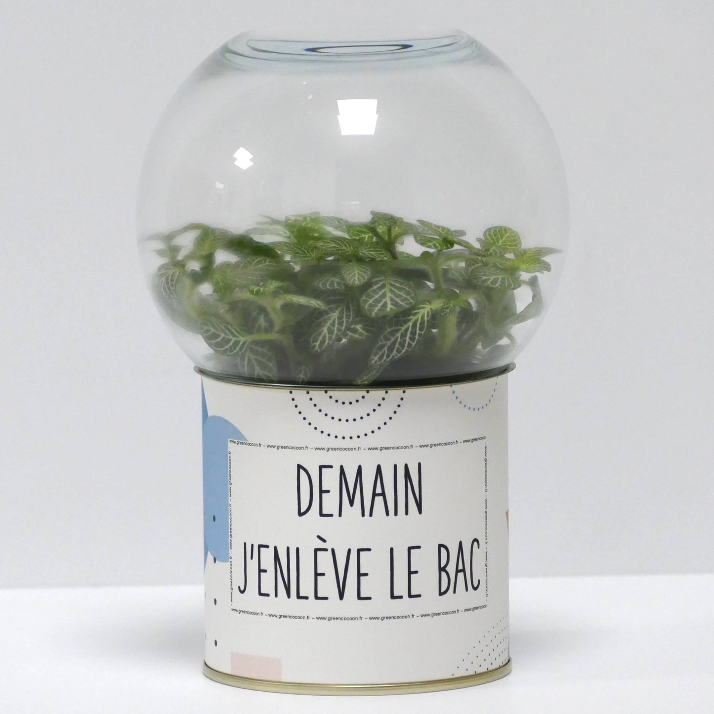 Terrarium Demain j'enlève le bac
