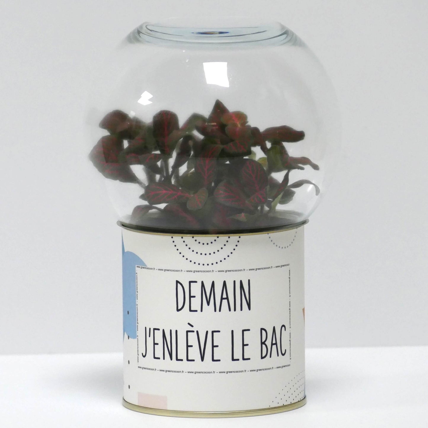 Terrarium Demain j'enlève le bac