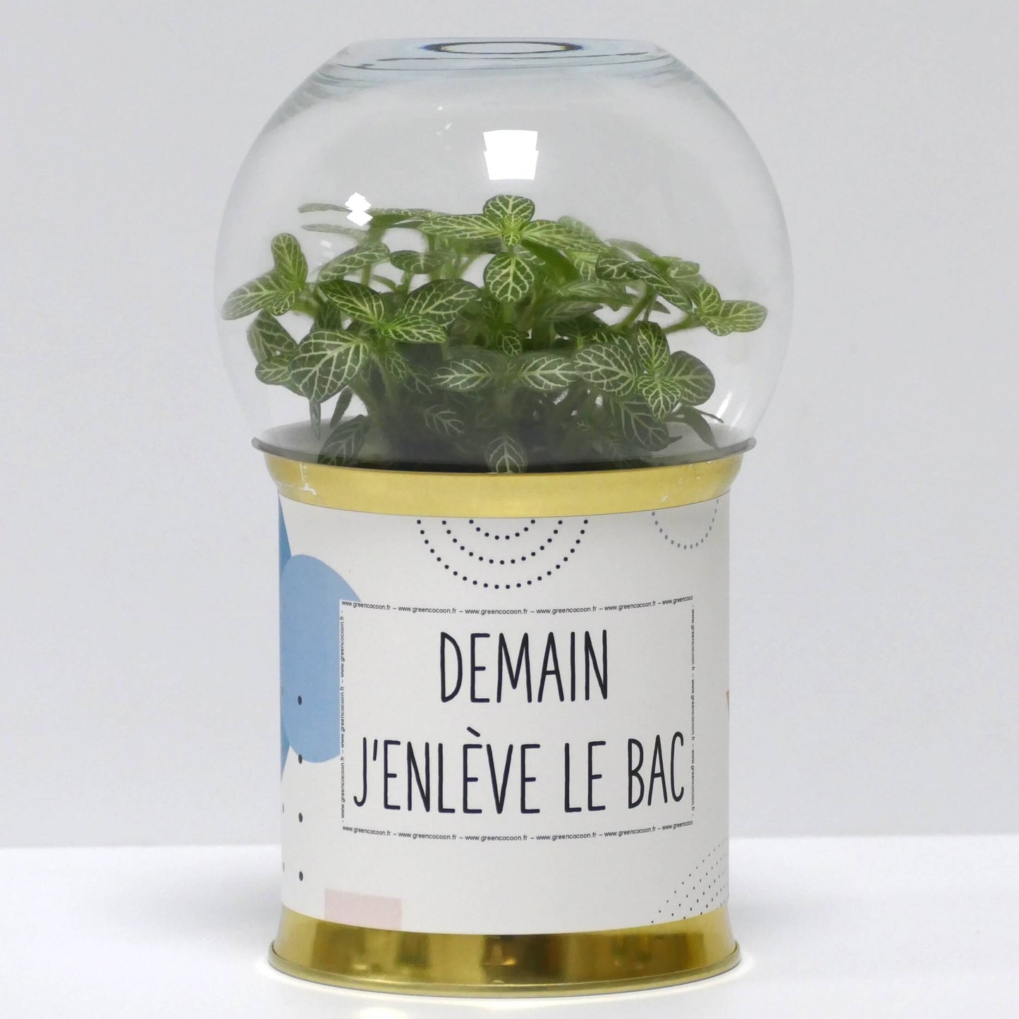 Terrarium Demain j'enlève le bac