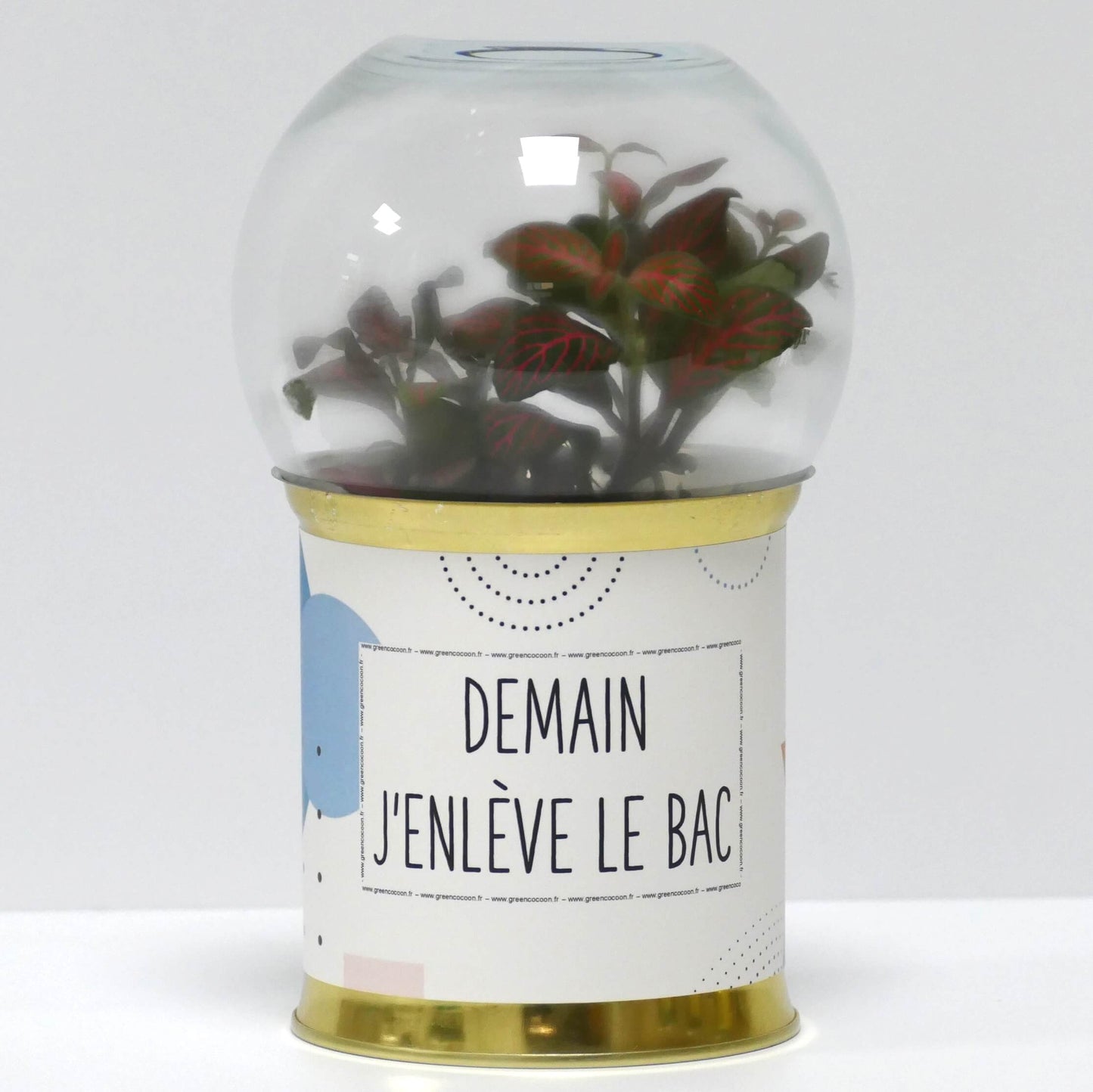 Terrarium Demain j'enlève le bac