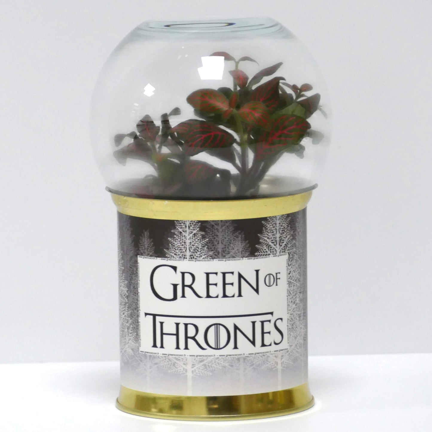 Terrarium Green of Thrones