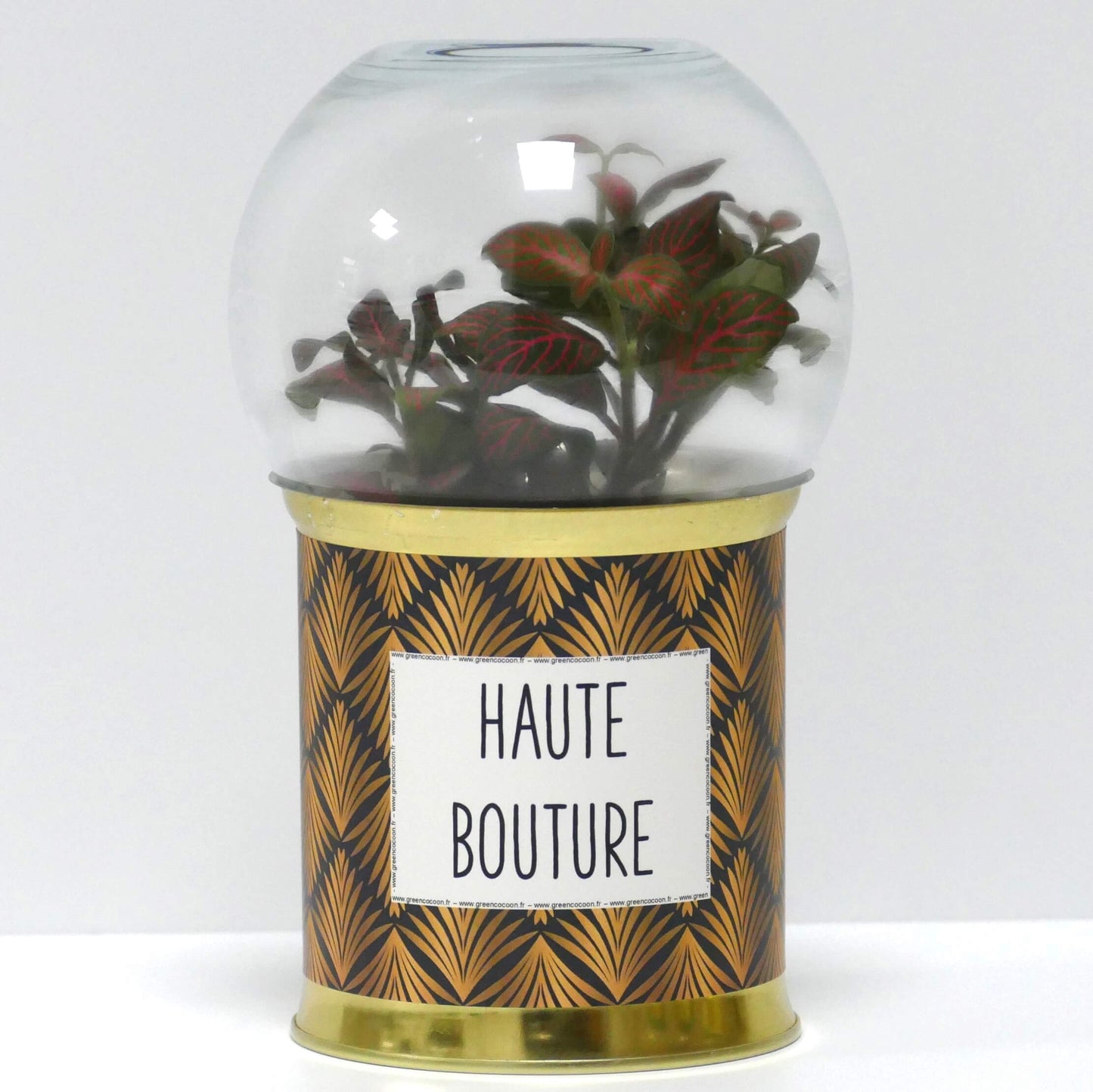 Terrarium Haute bouture