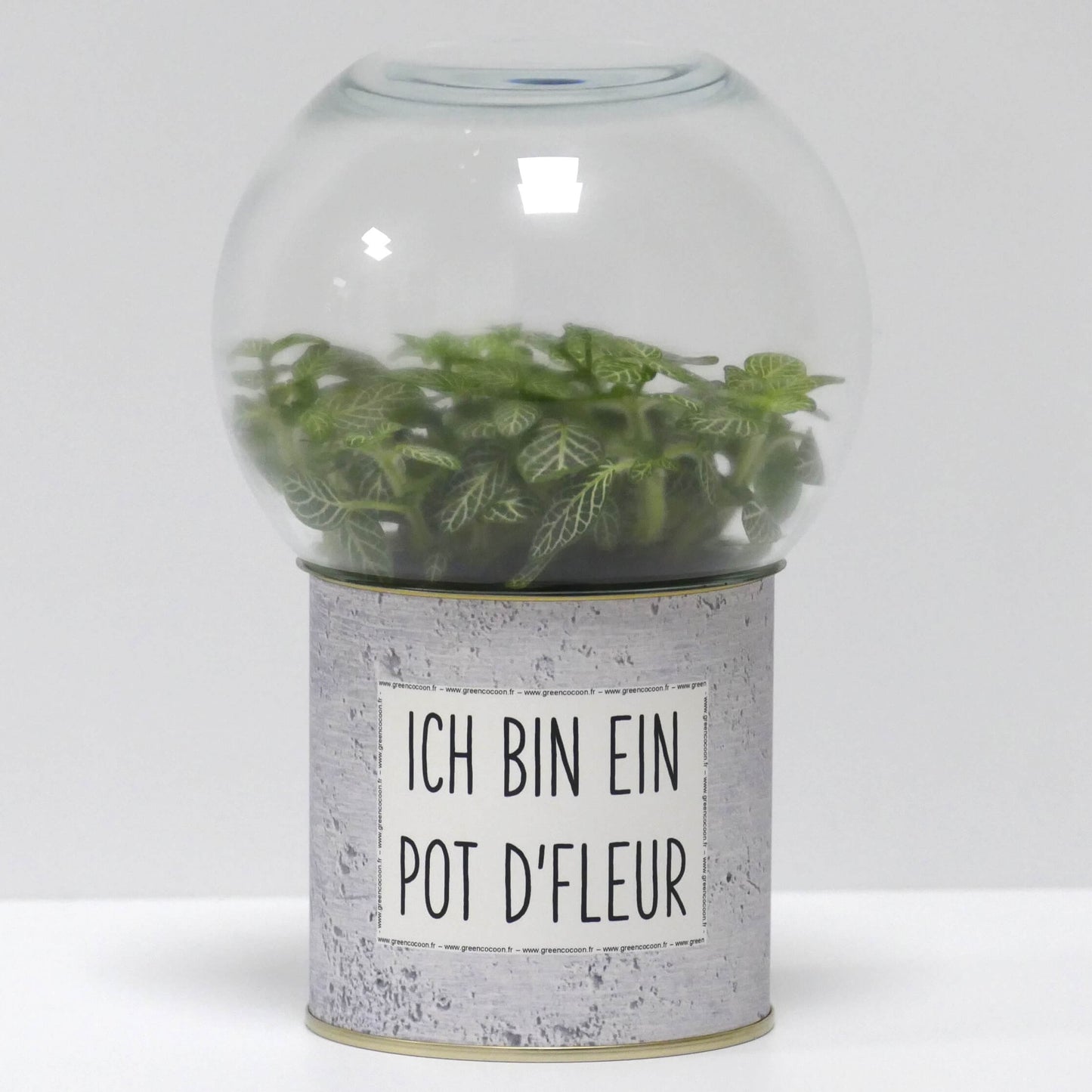 Terrarium Ich bin ein pot d'fleur