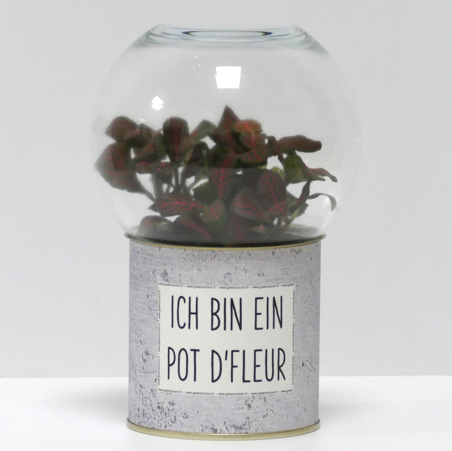 Terrarium Ich bin ein pot d'fleur