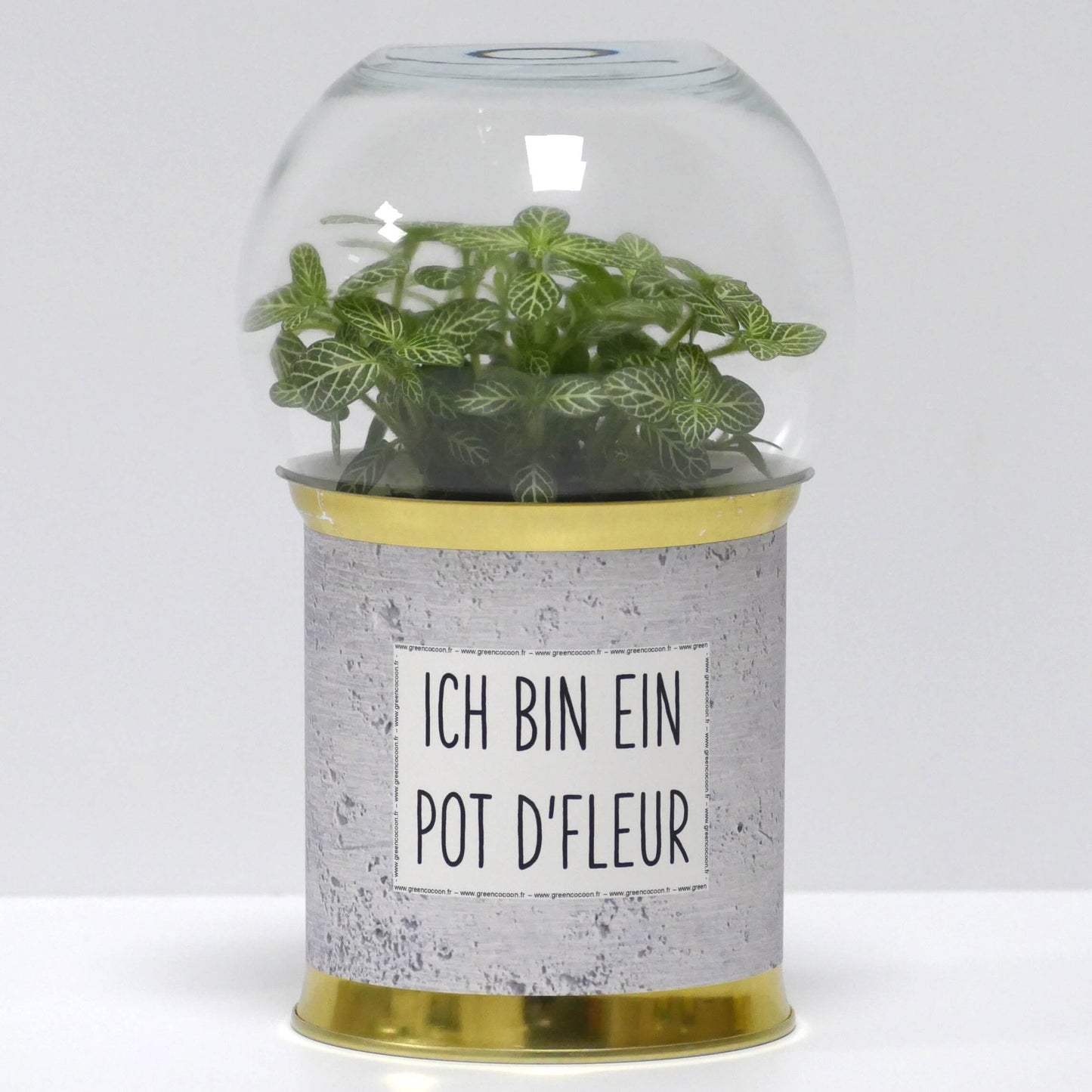 Terrarium Ich bin ein pot d'fleur