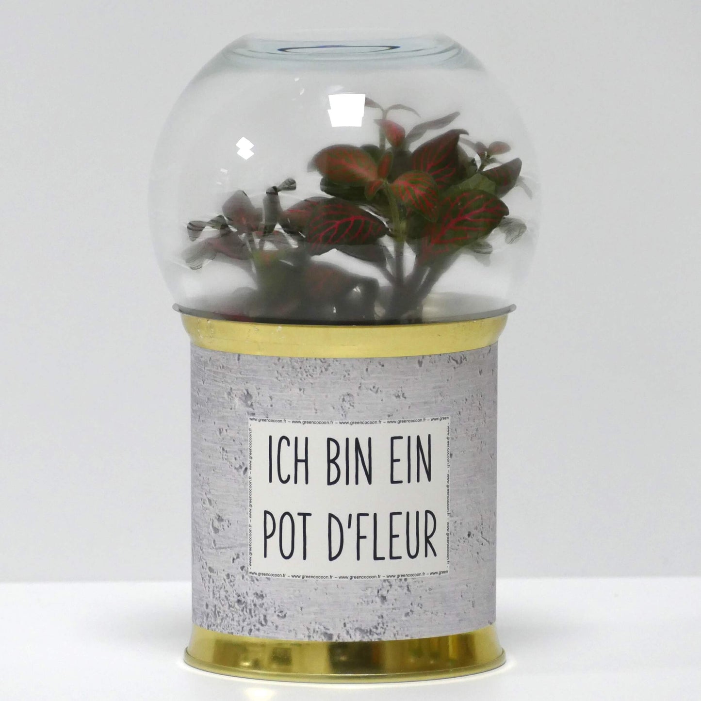 Terrarium Ich bin ein pot d'fleur